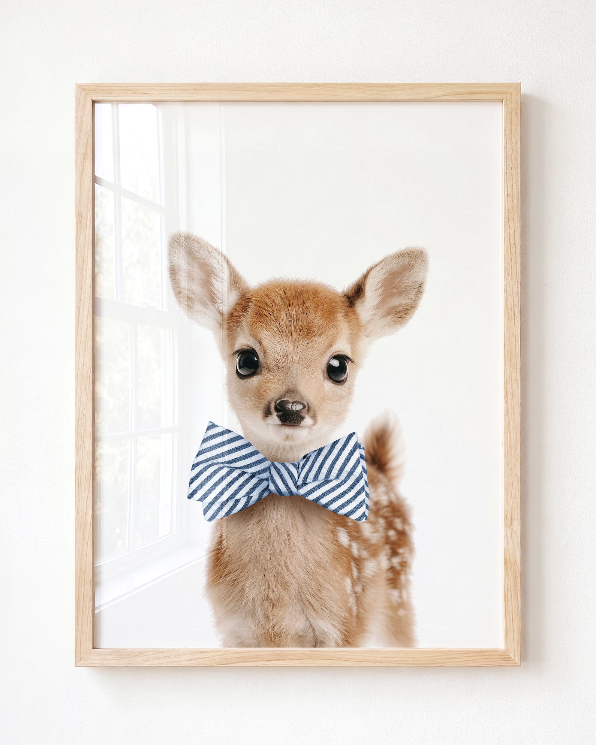 Baby Deer
