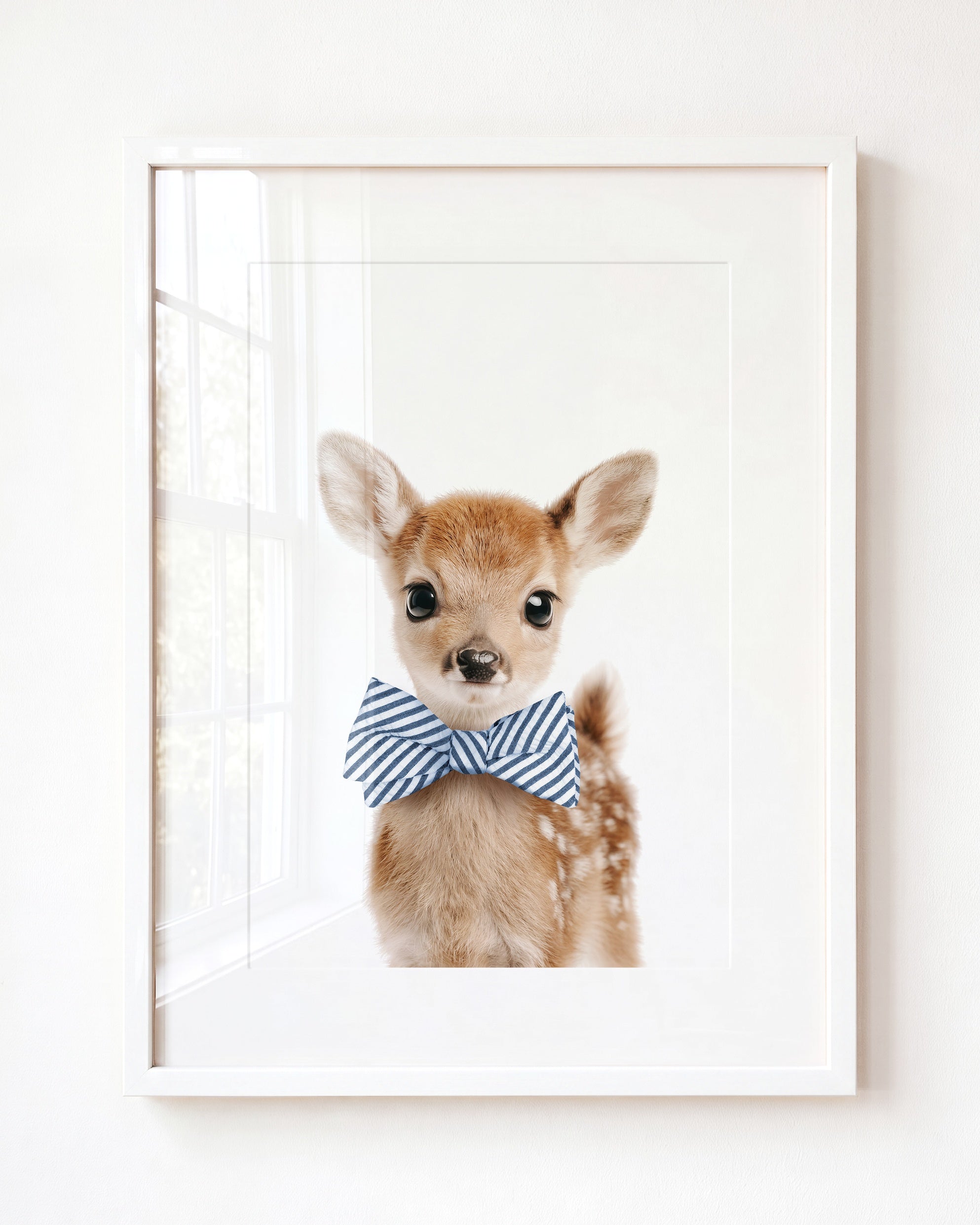 Baby Deer