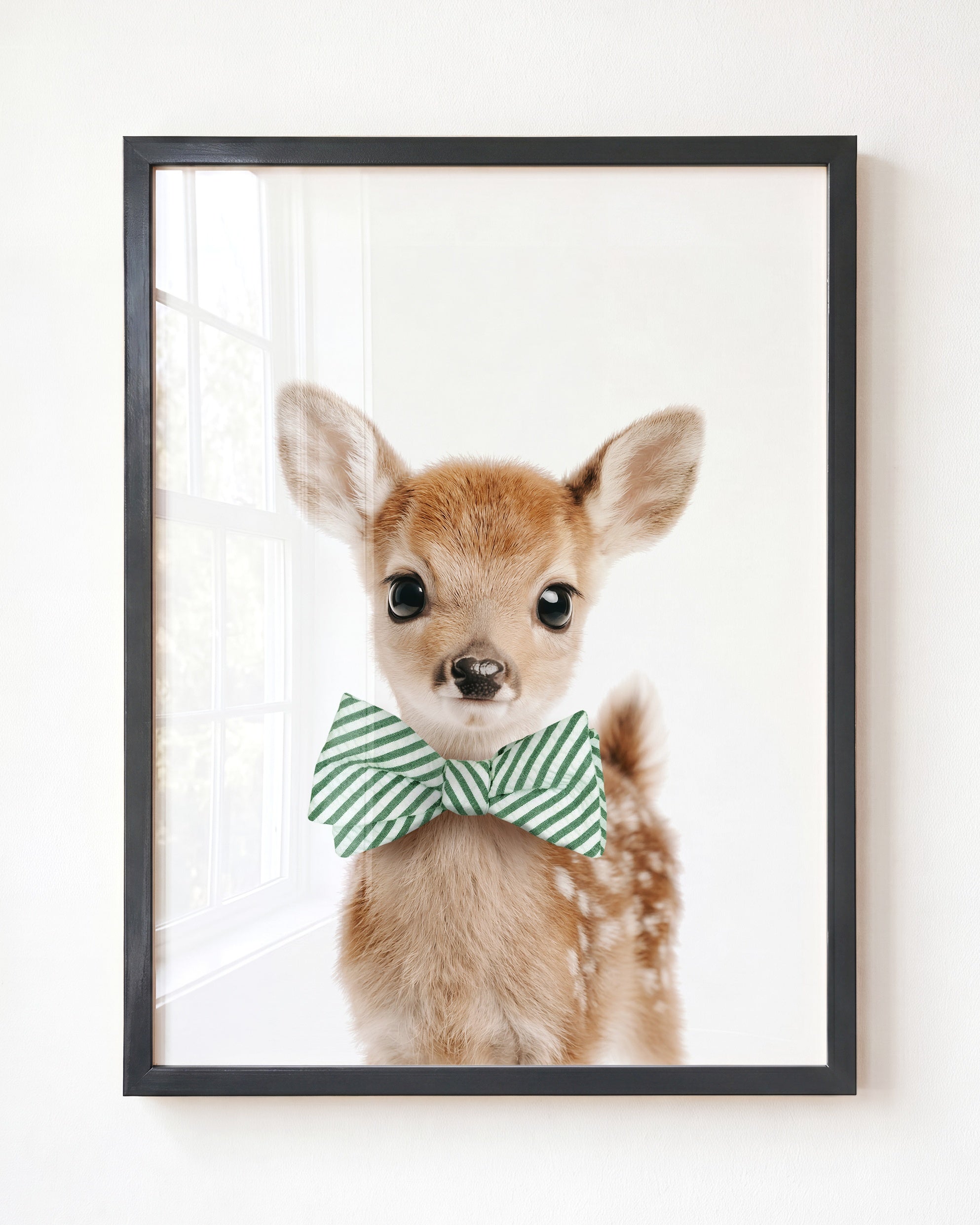 Baby Deer
