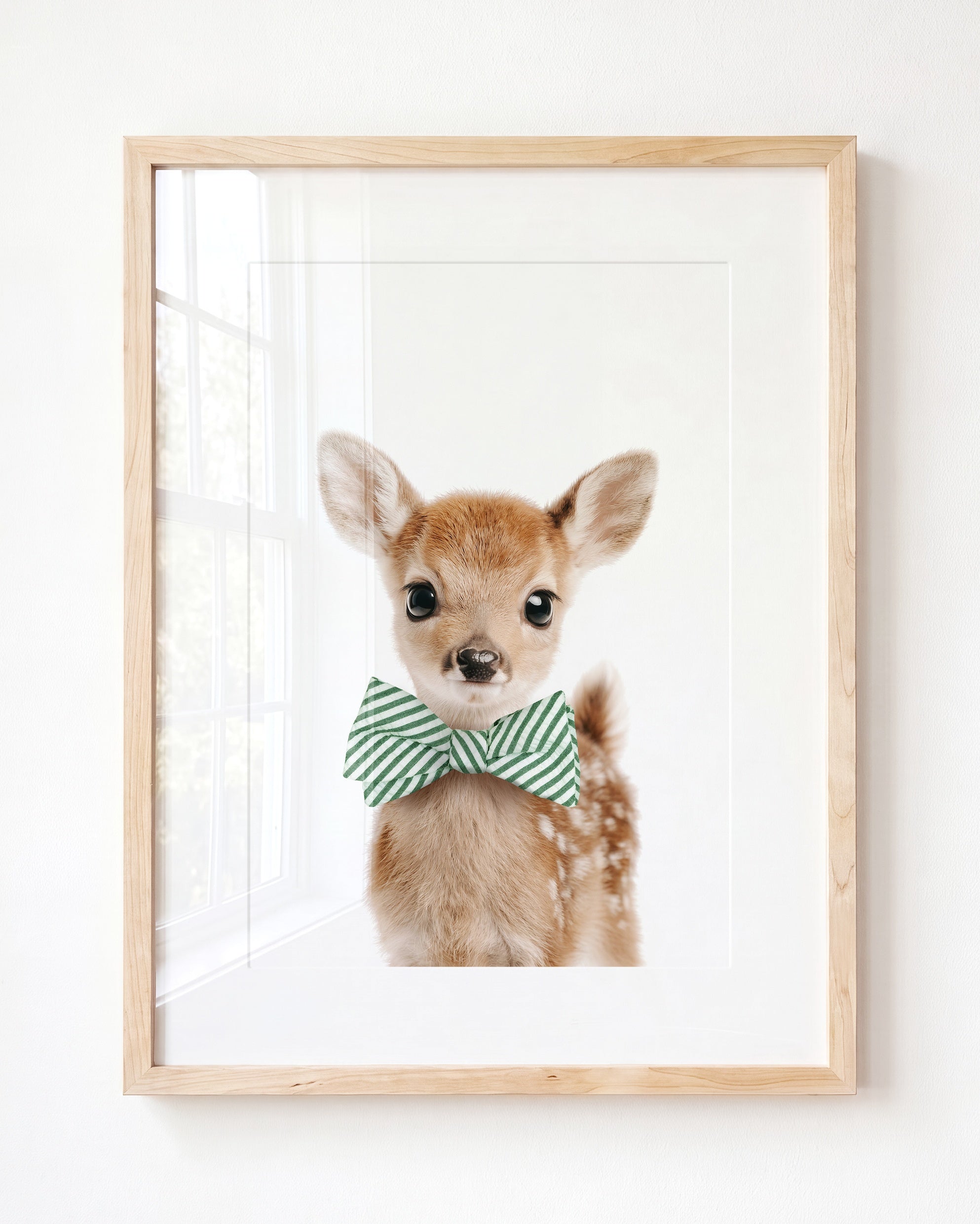 Baby Deer