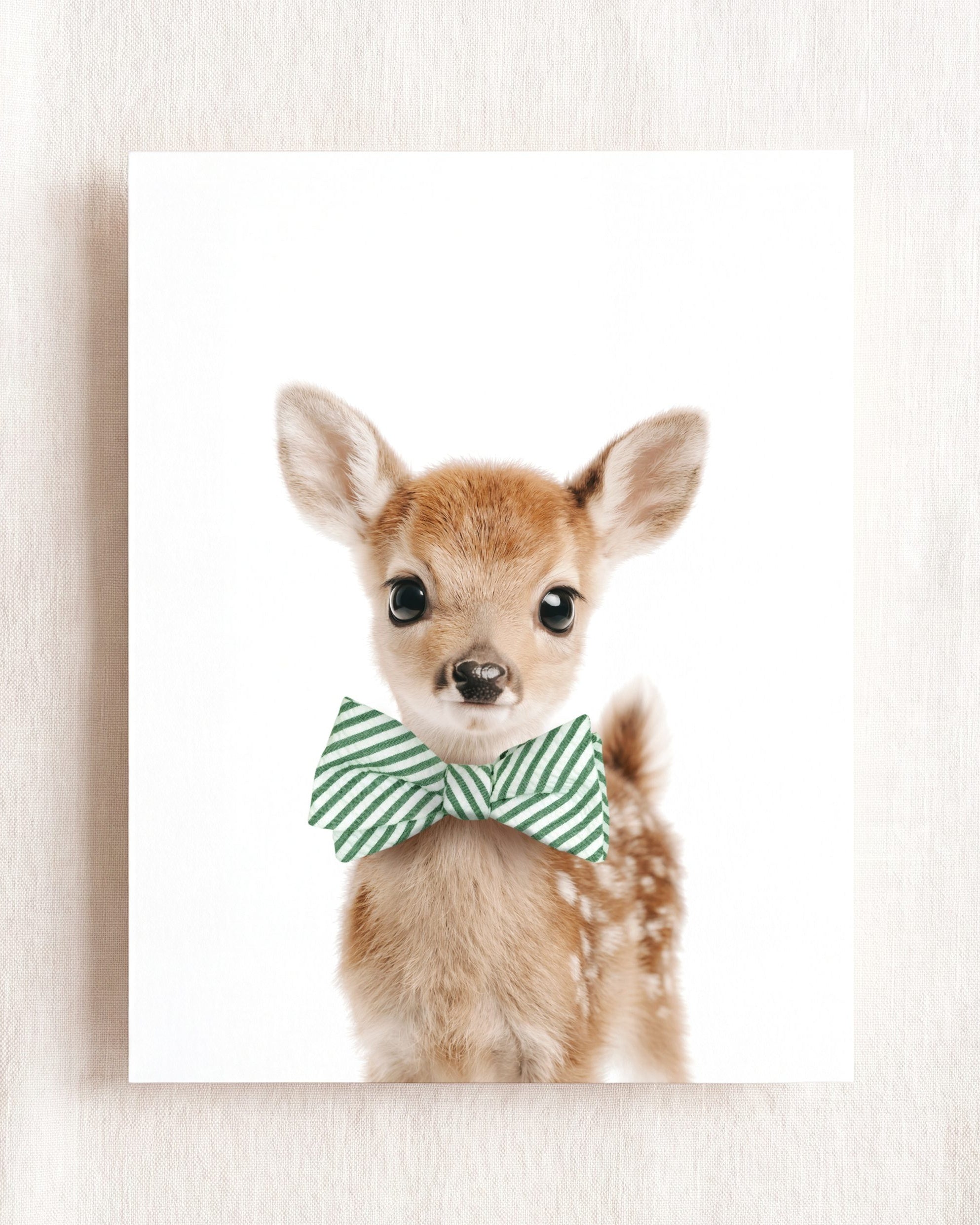 Baby Deer