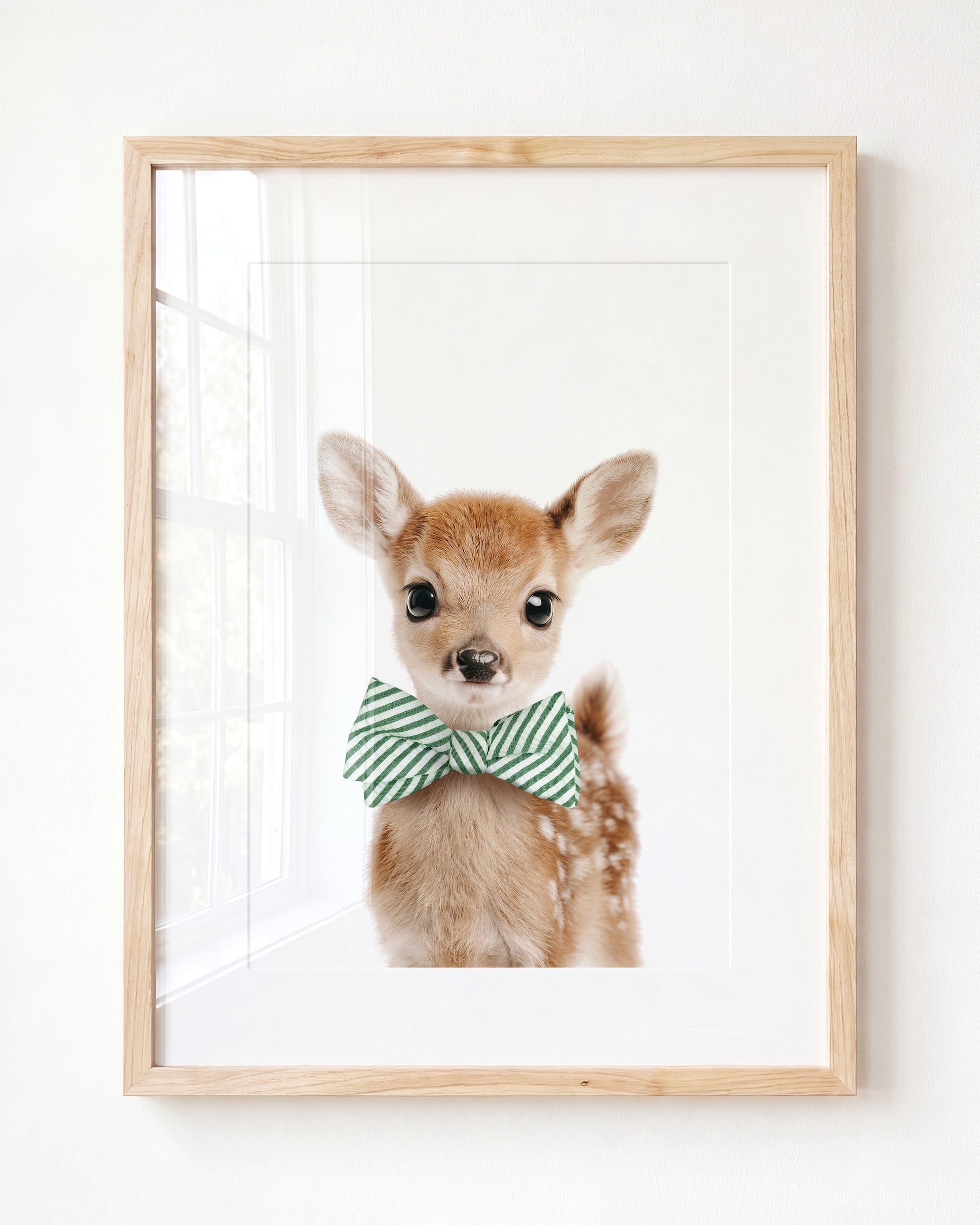 Baby Deer