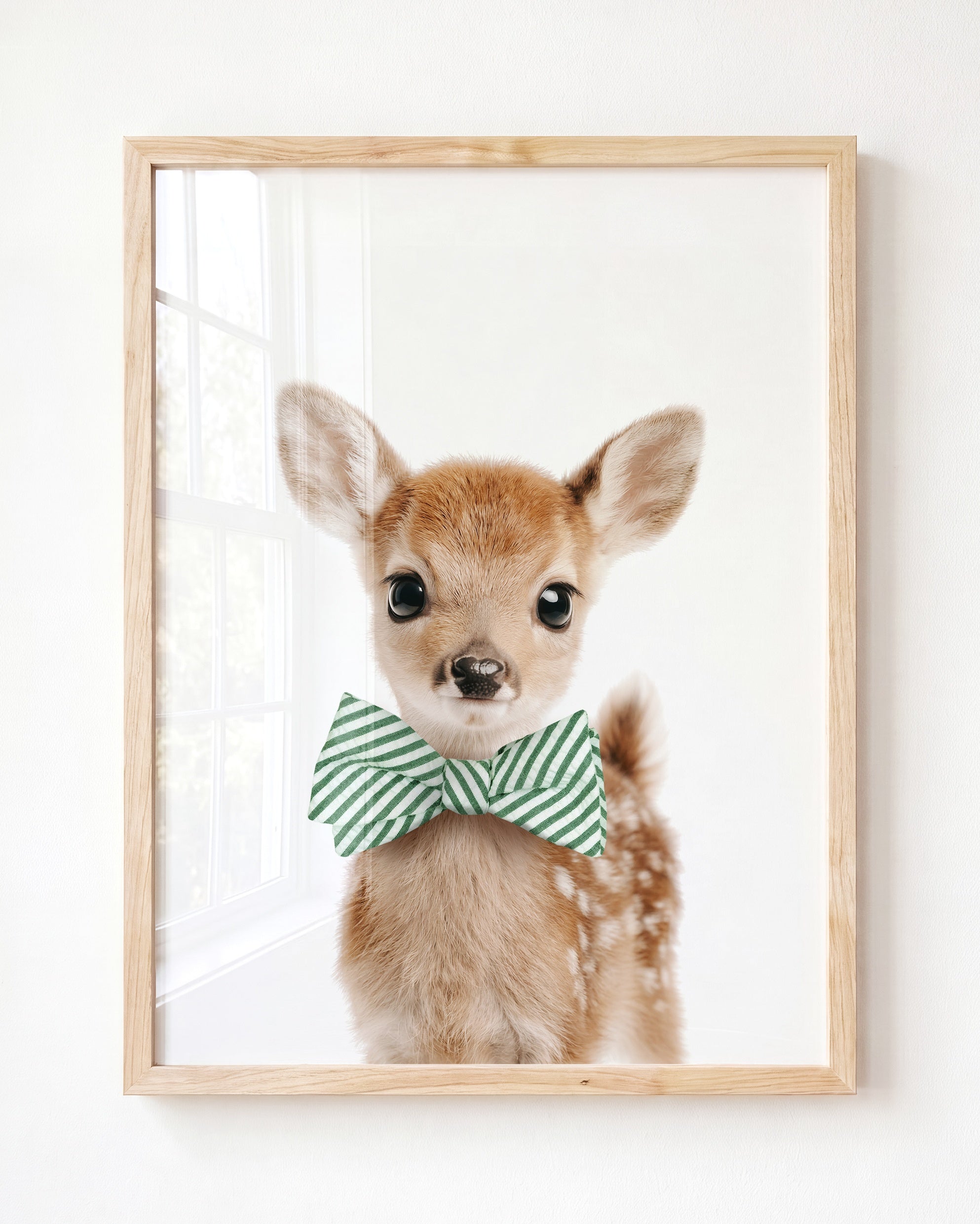 Baby Deer