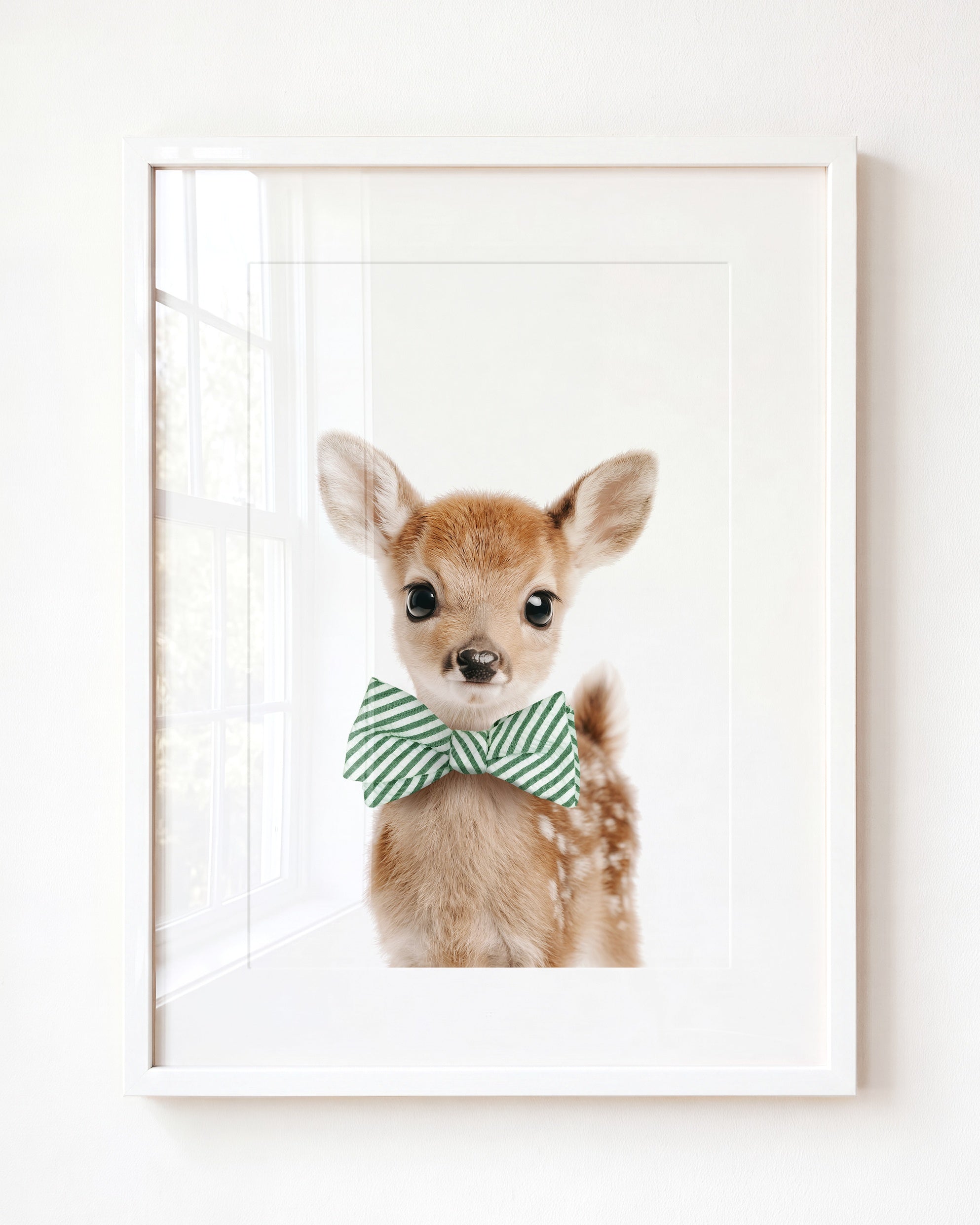 Baby Deer