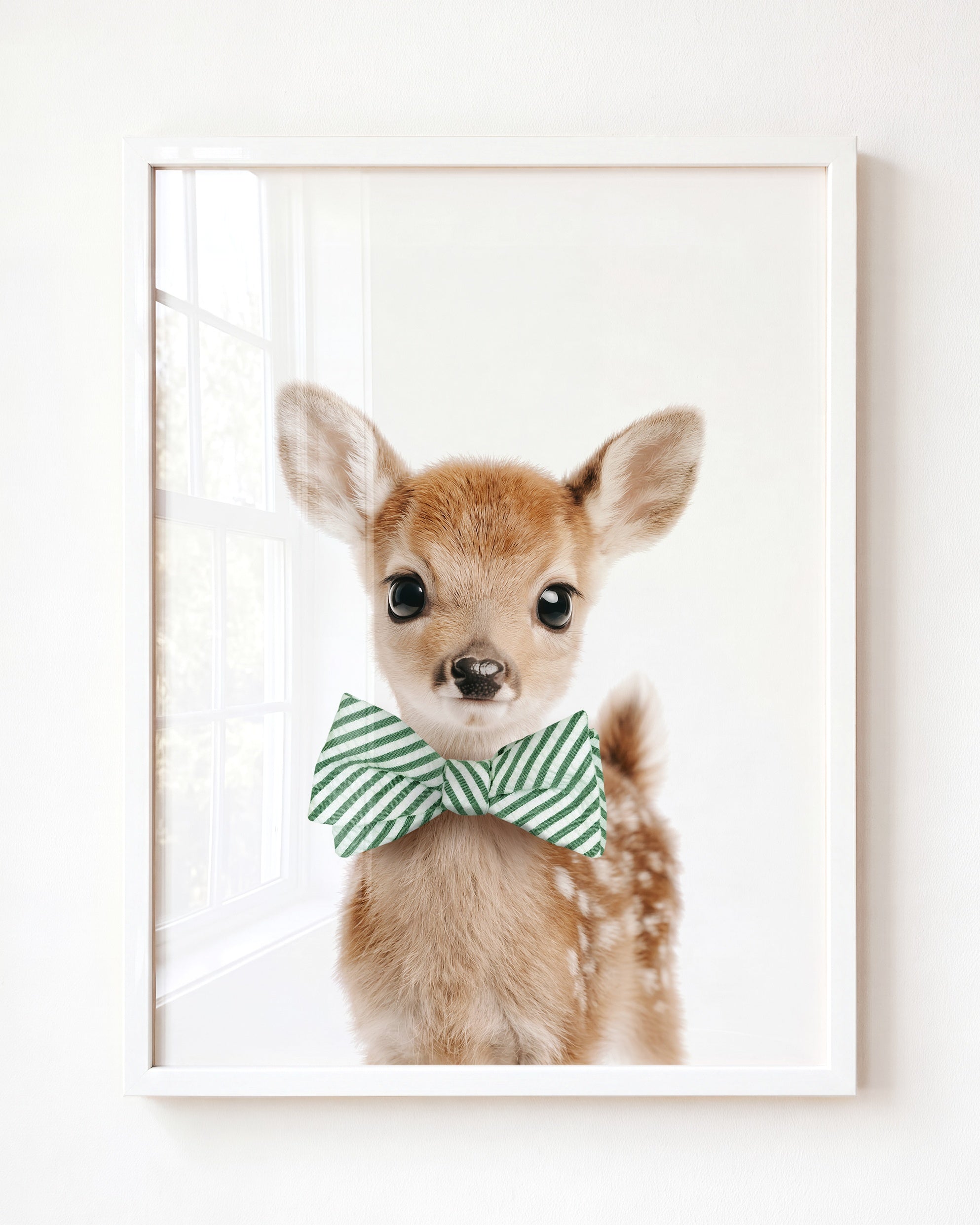 Baby Deer