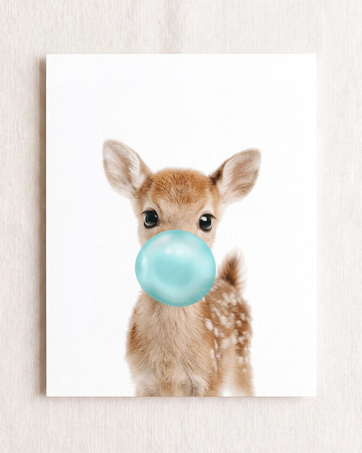 Baby Deer