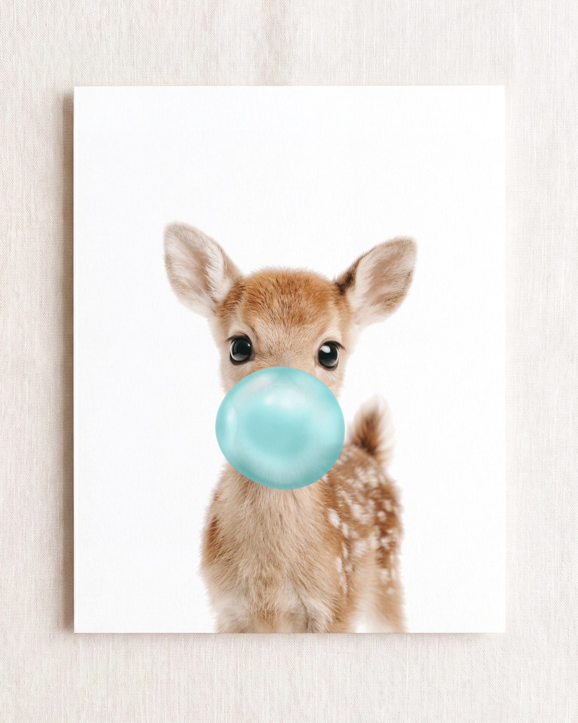 Baby Deer