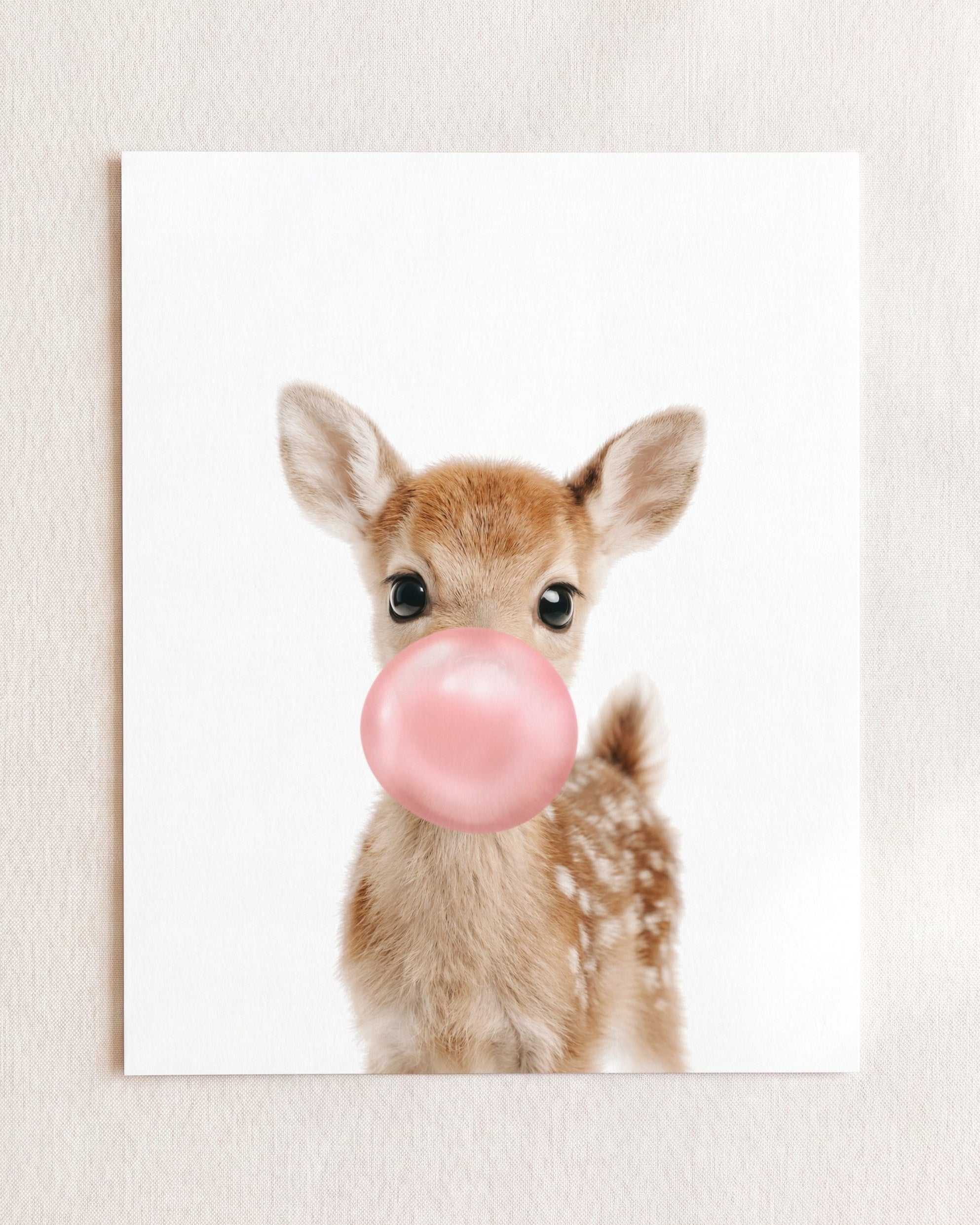 Baby Deer