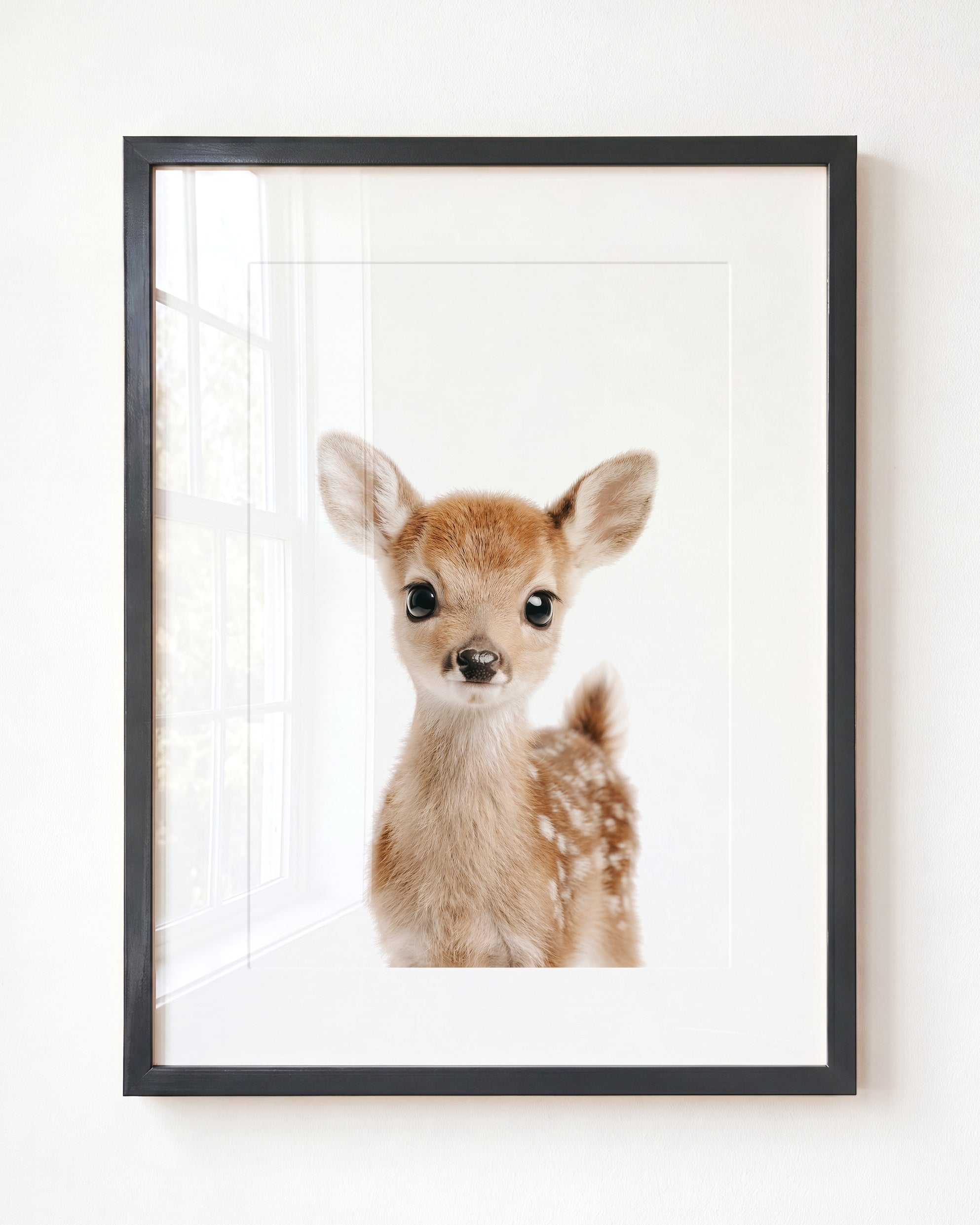 Baby Deer