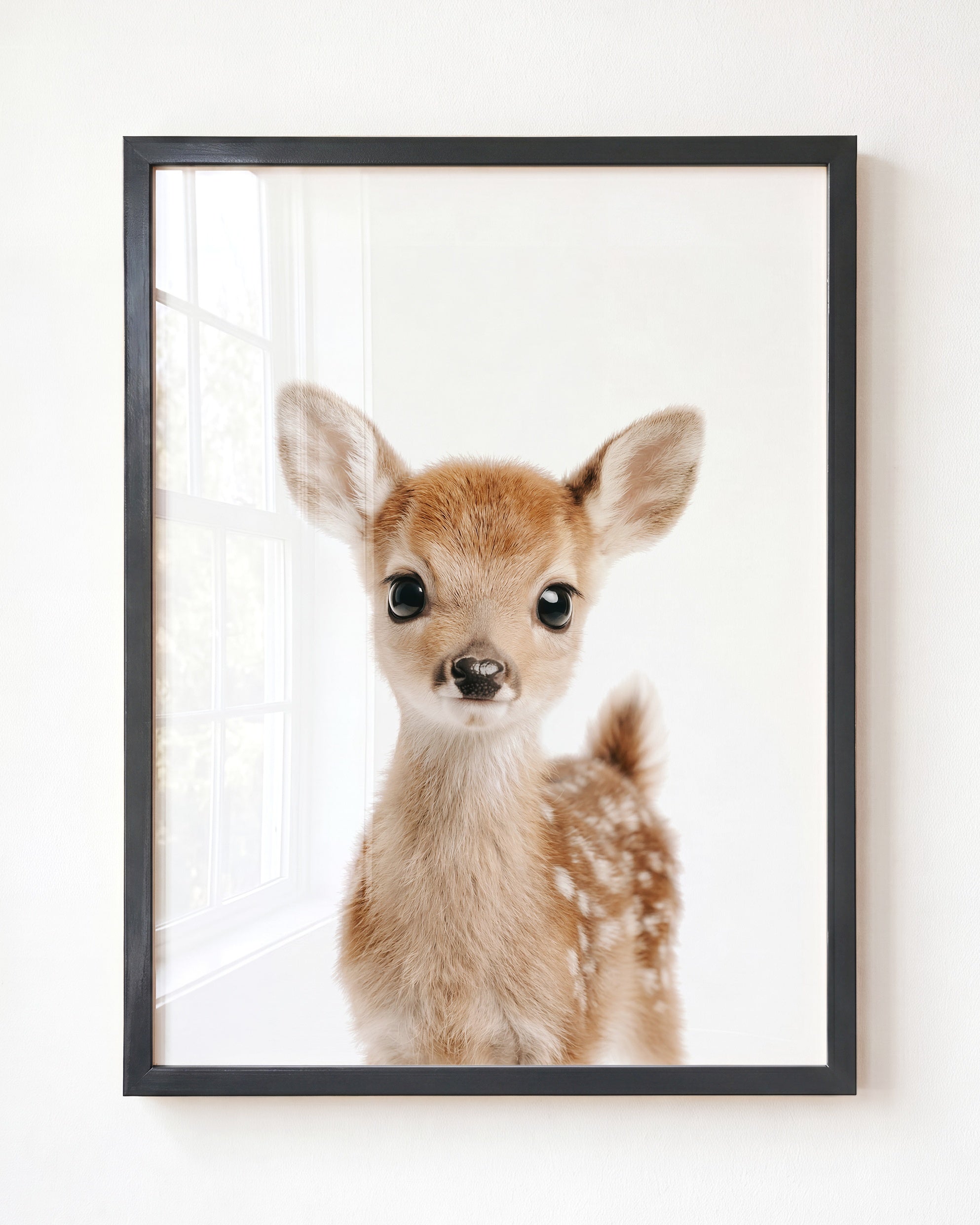 Baby Deer