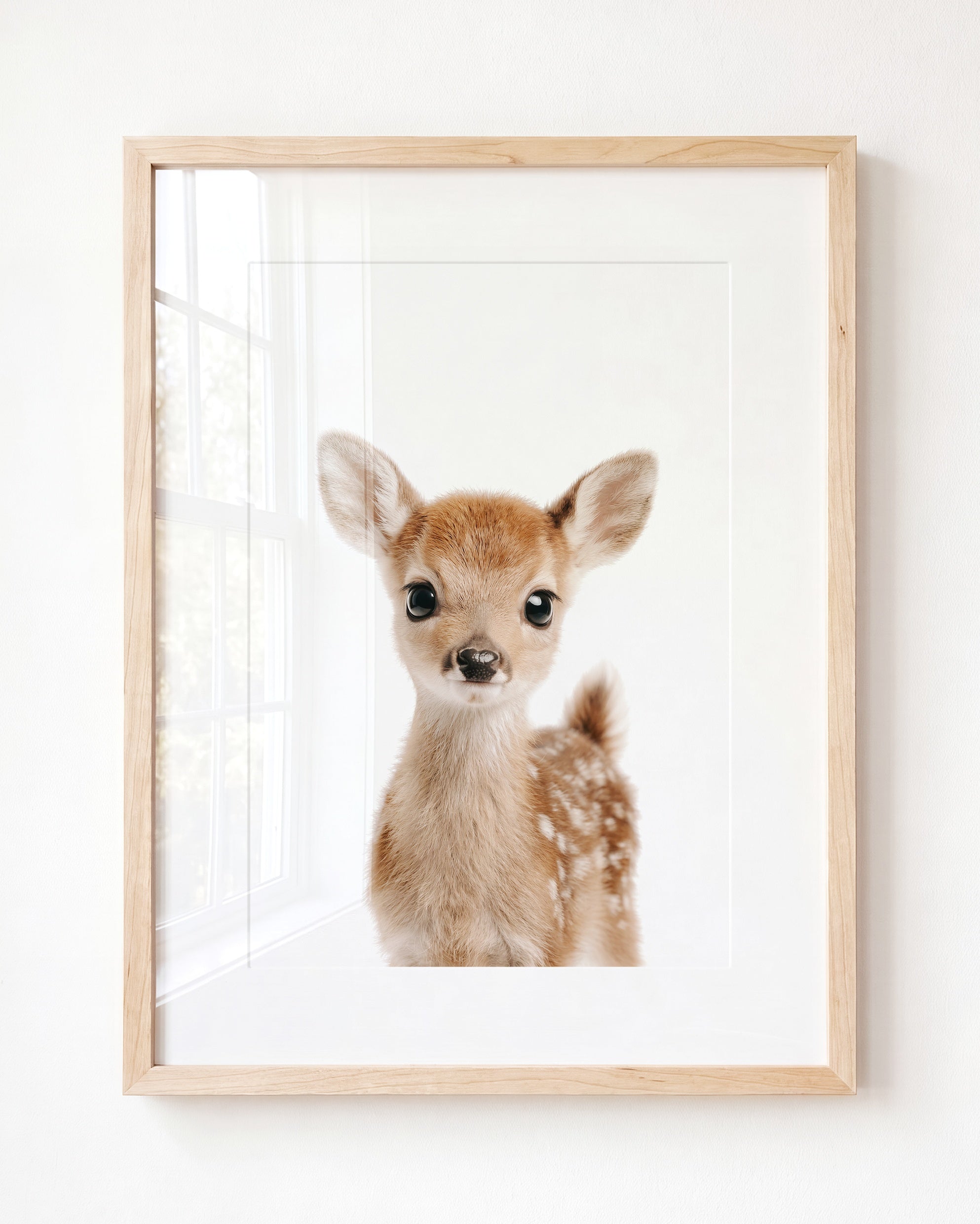 Baby Deer