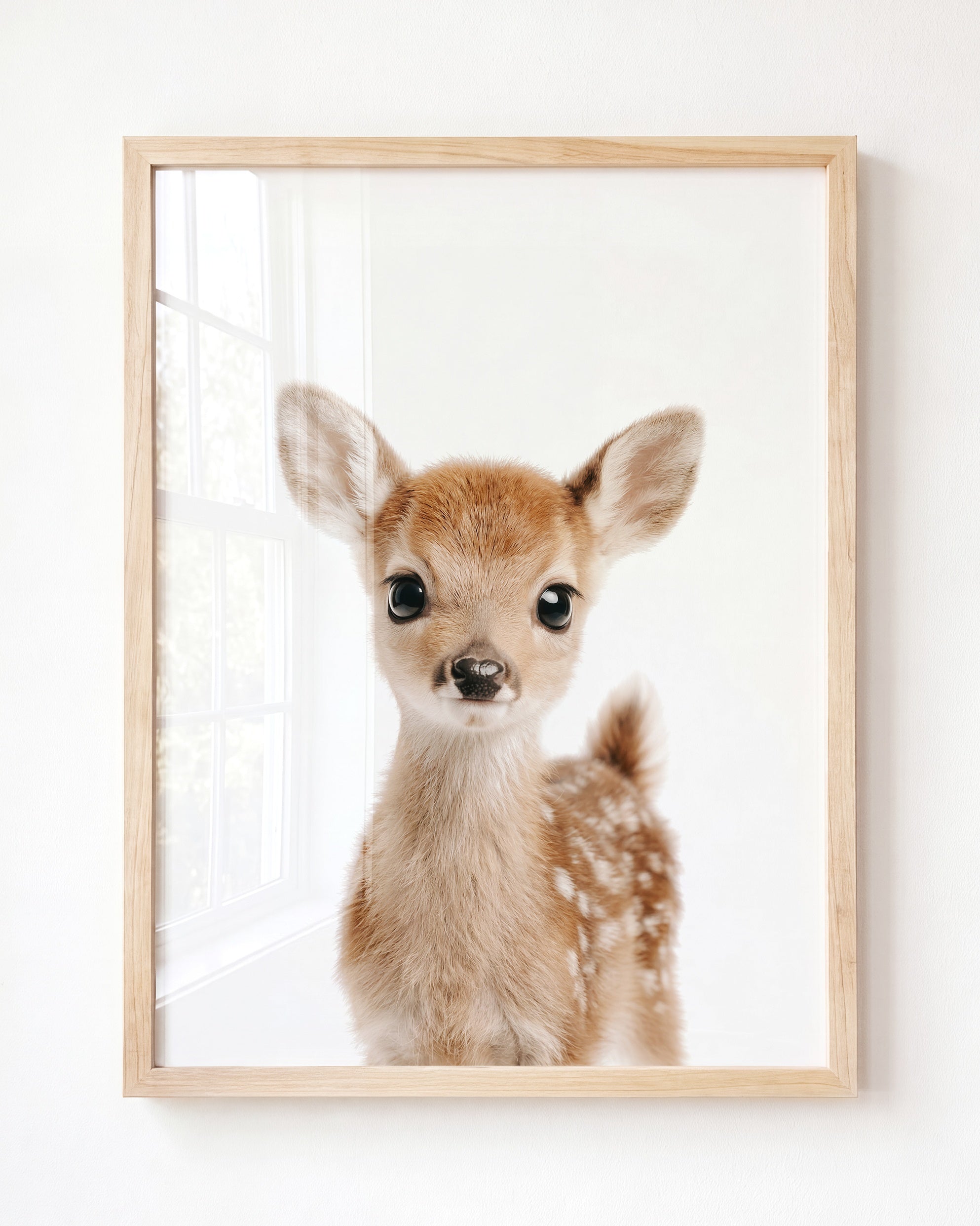 Baby Deer