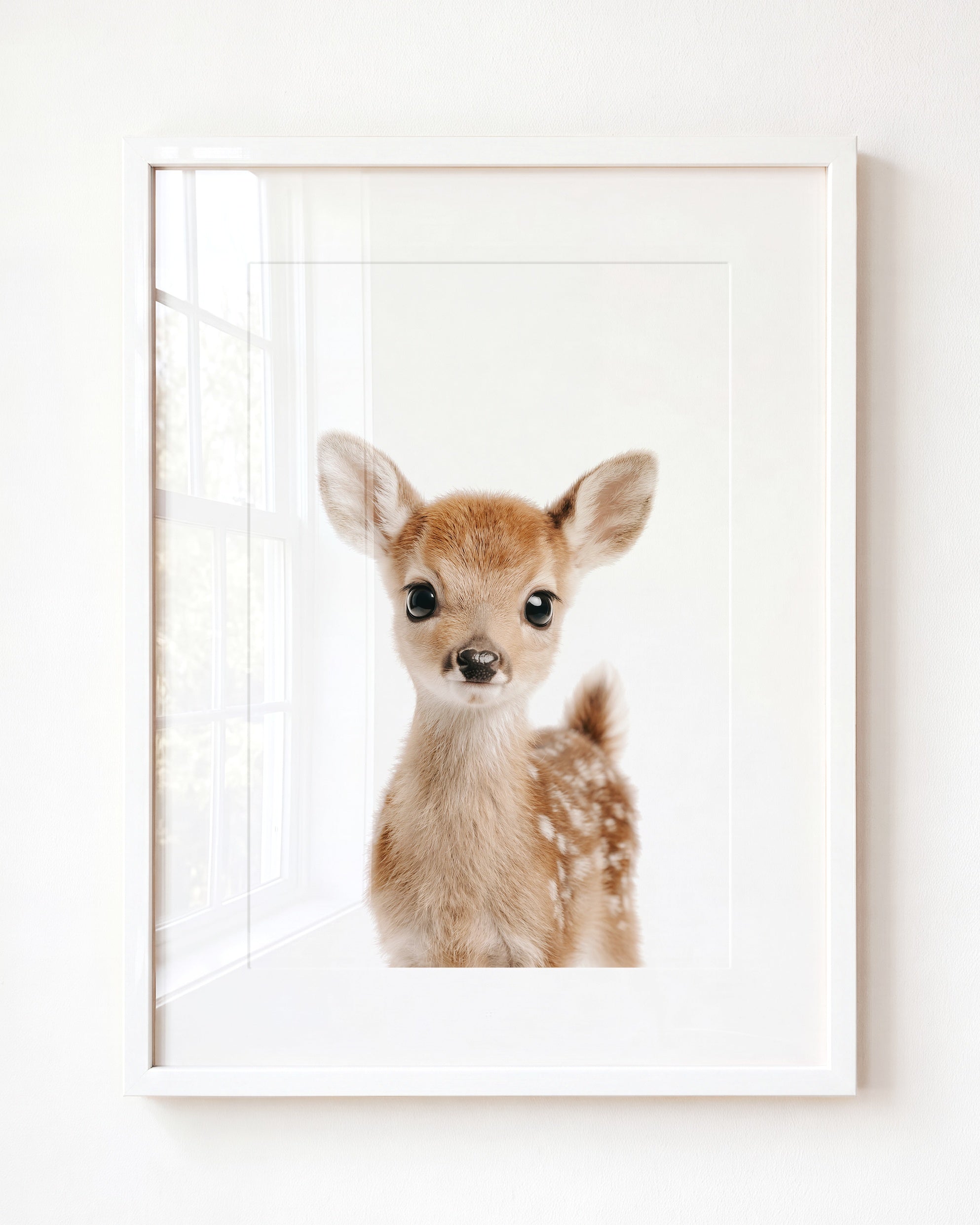 Baby Deer
