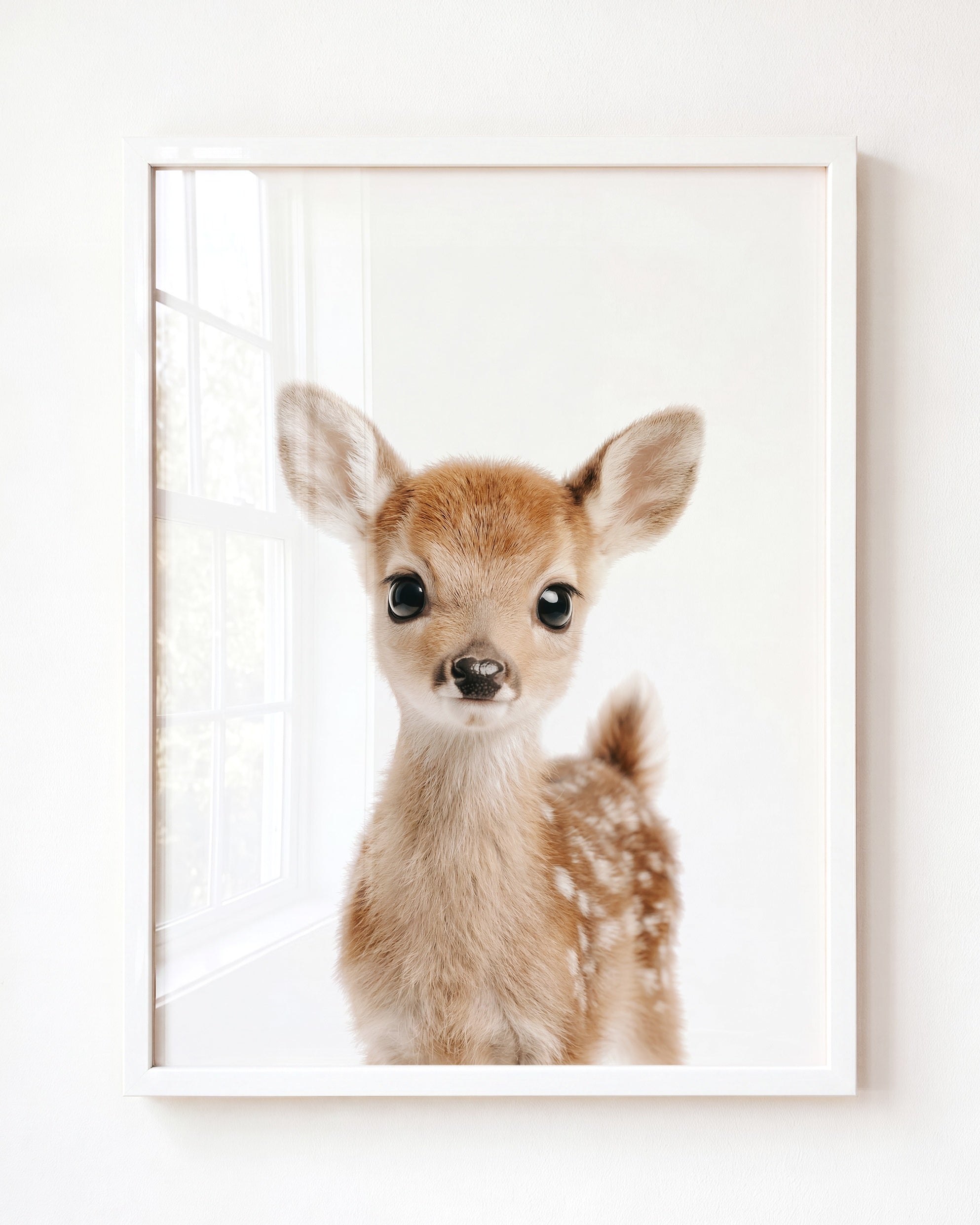 Baby Deer