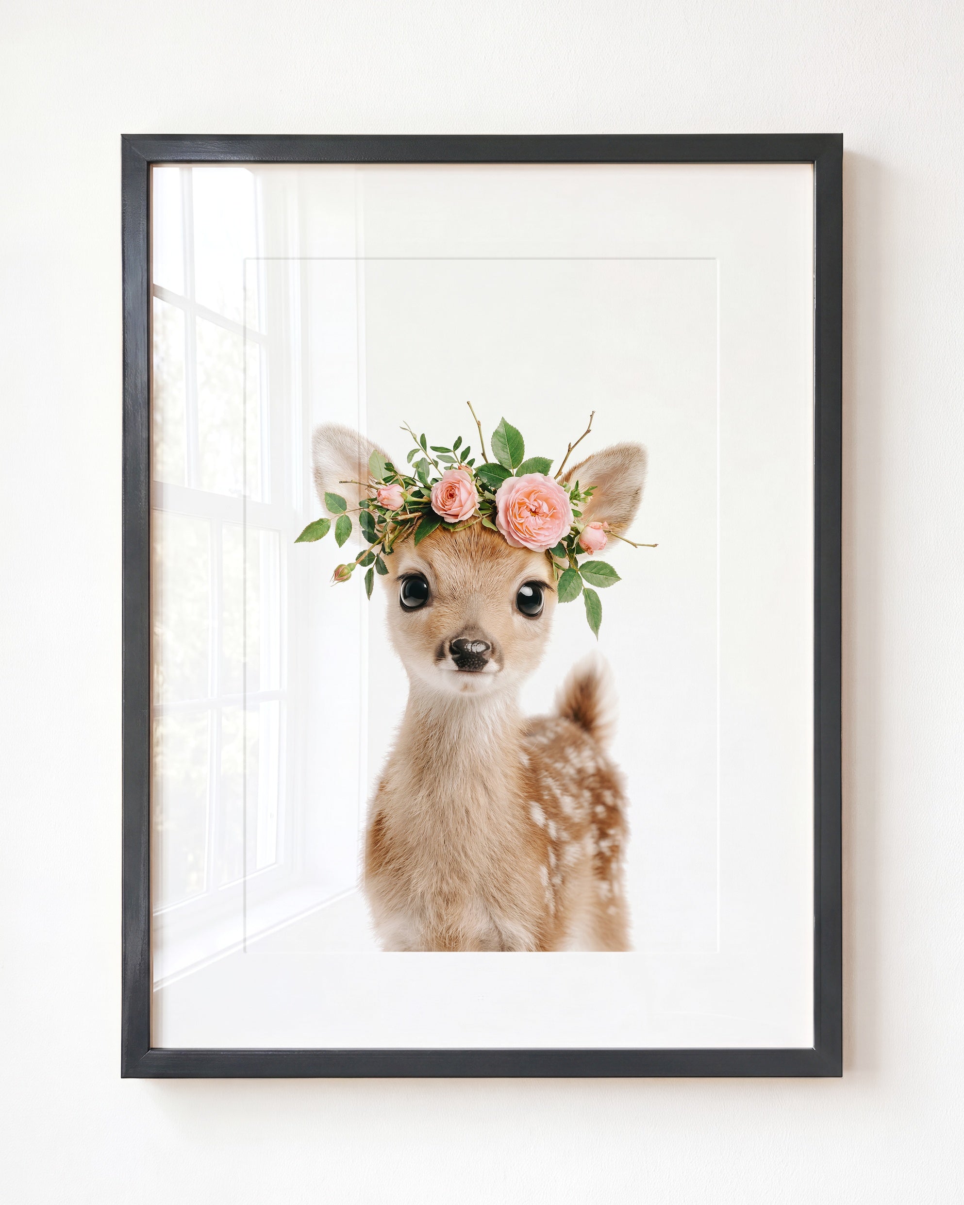 Baby Deer