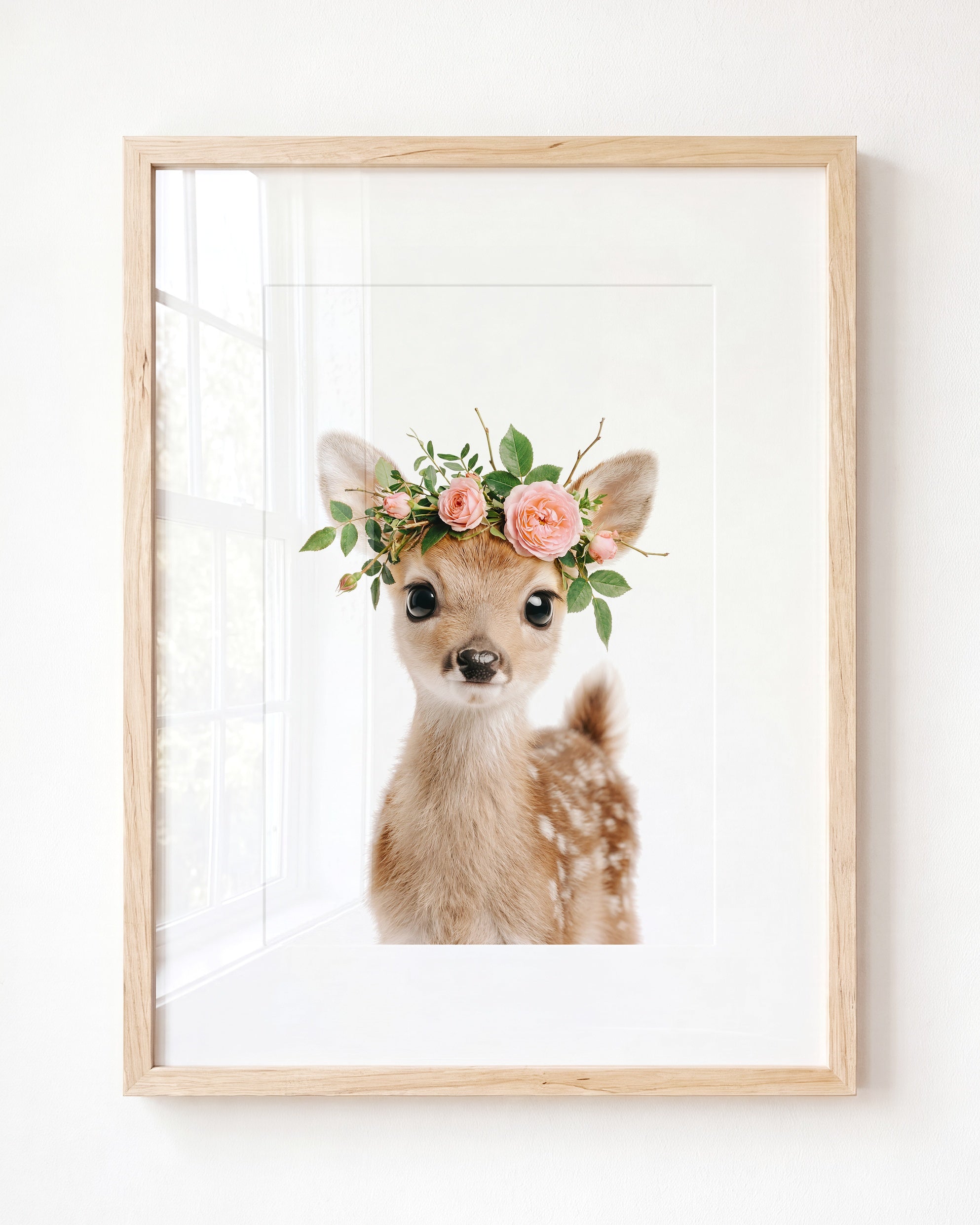 Baby Deer