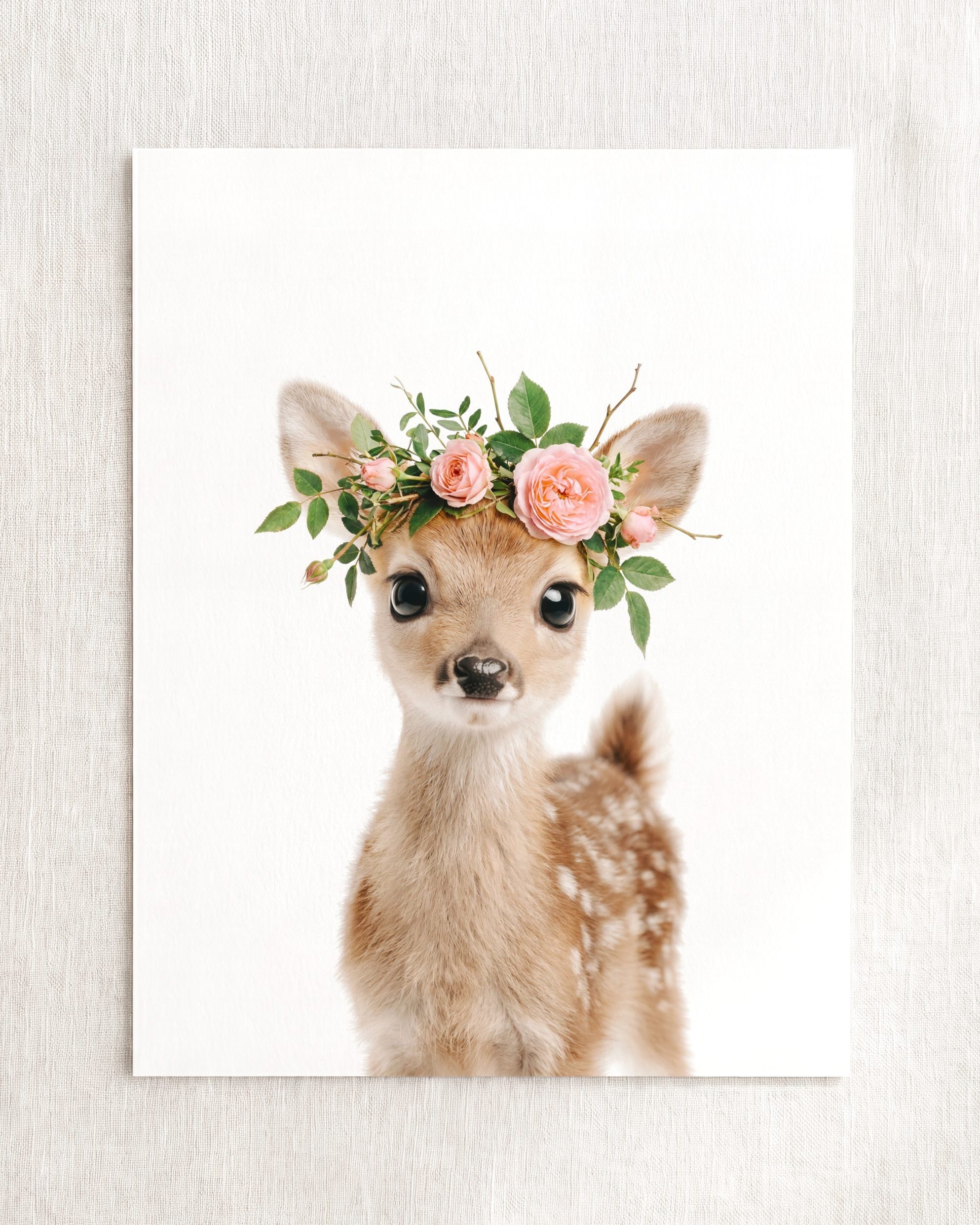 Baby Deer