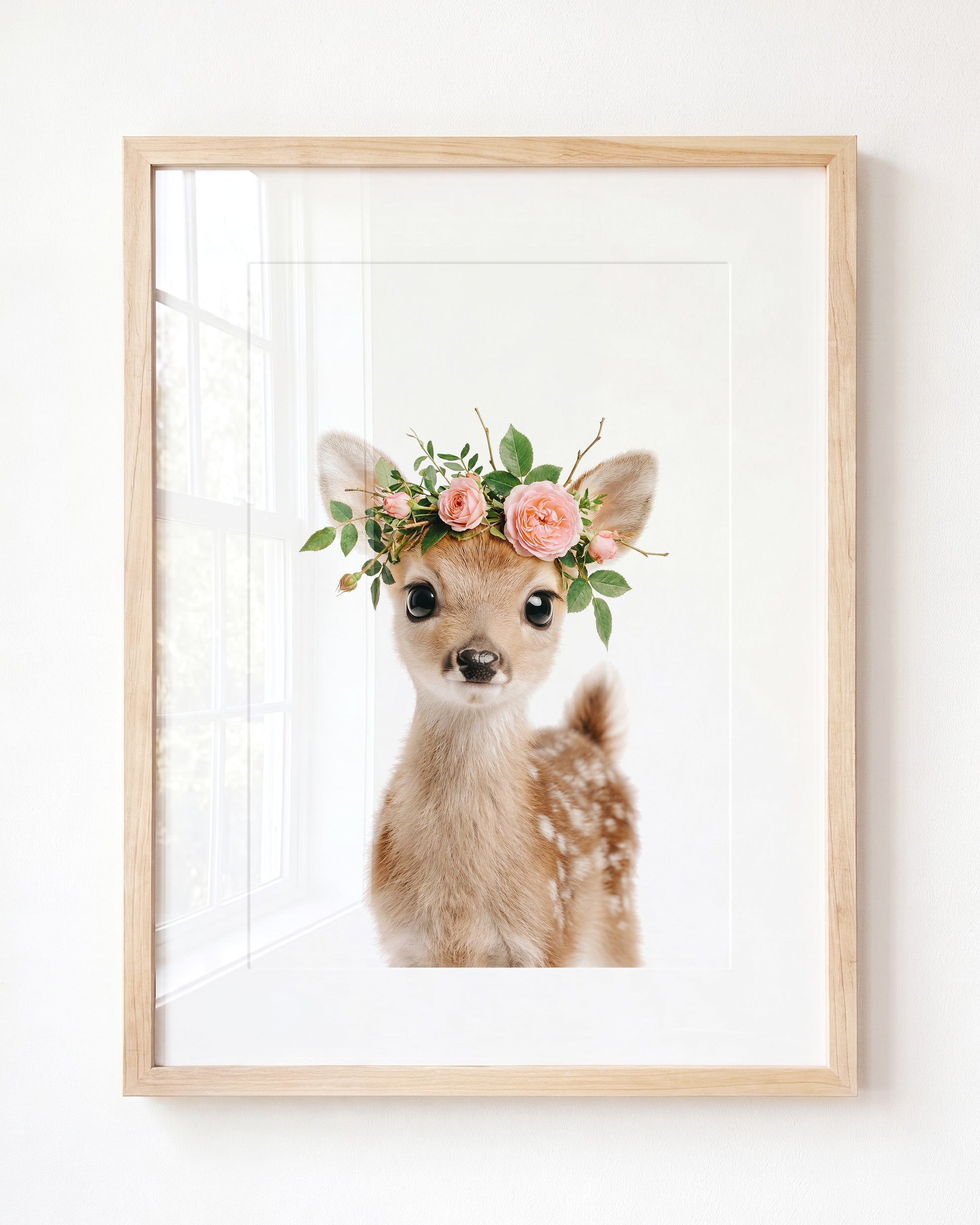 Baby Deer