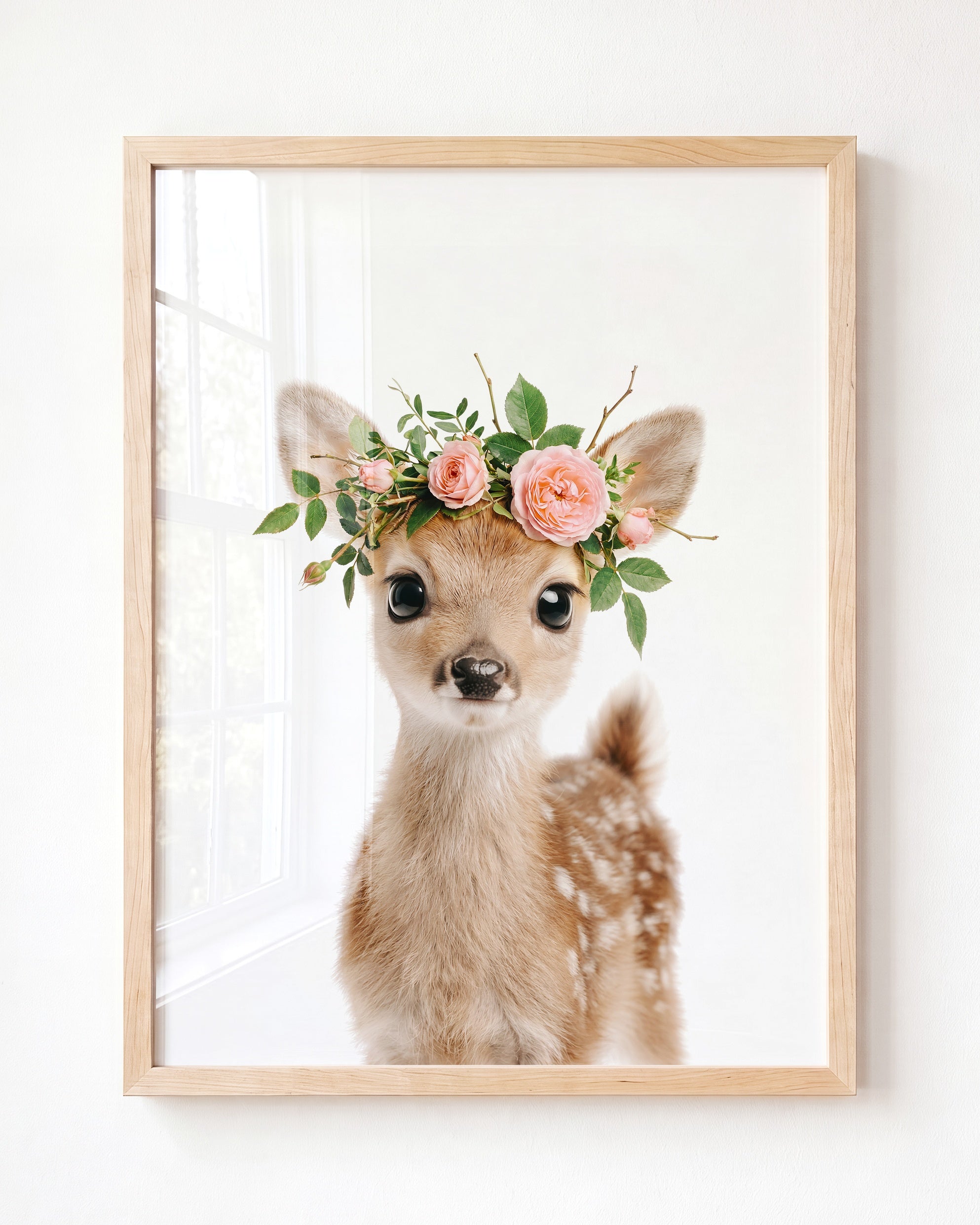 Baby Deer