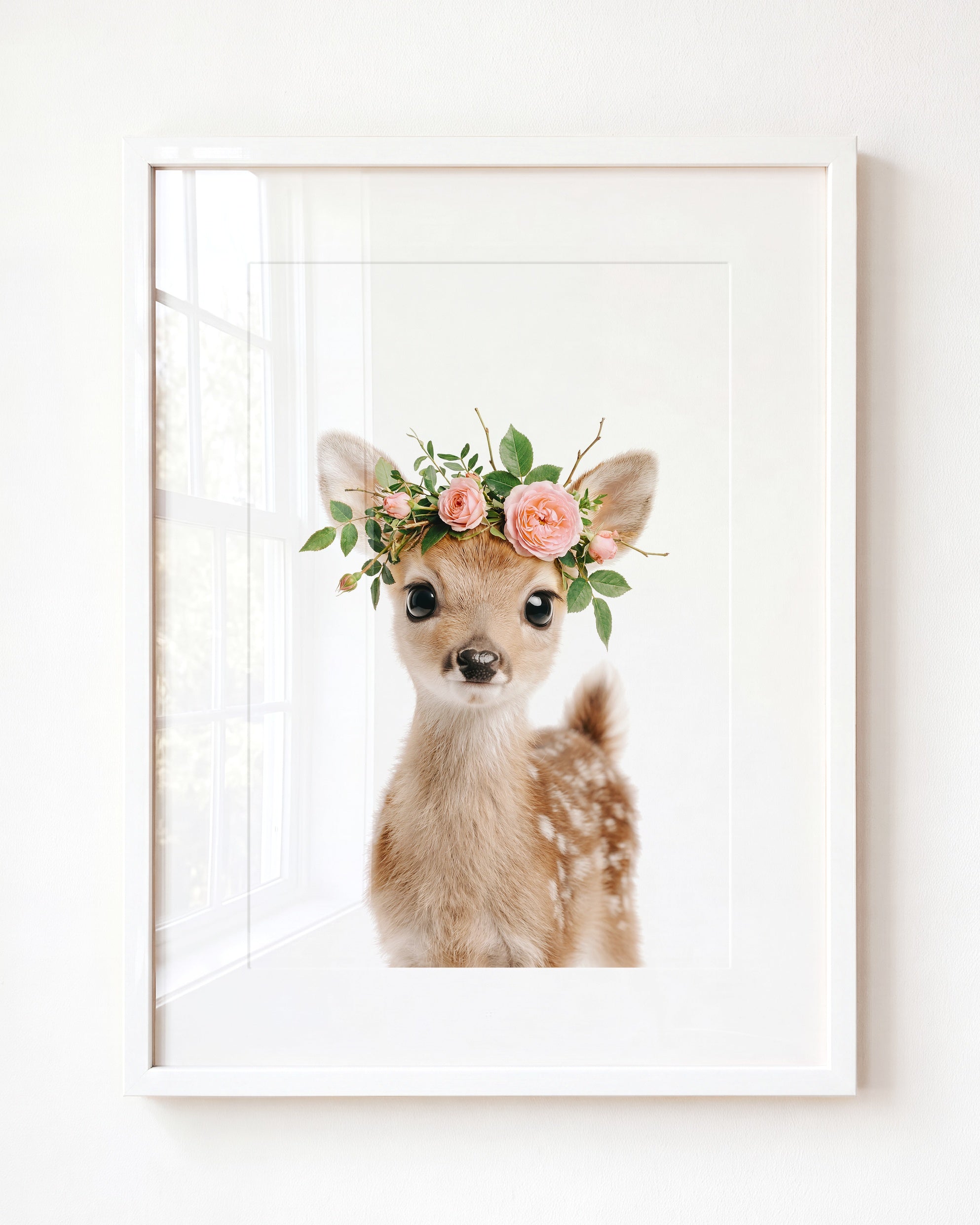 Baby Deer