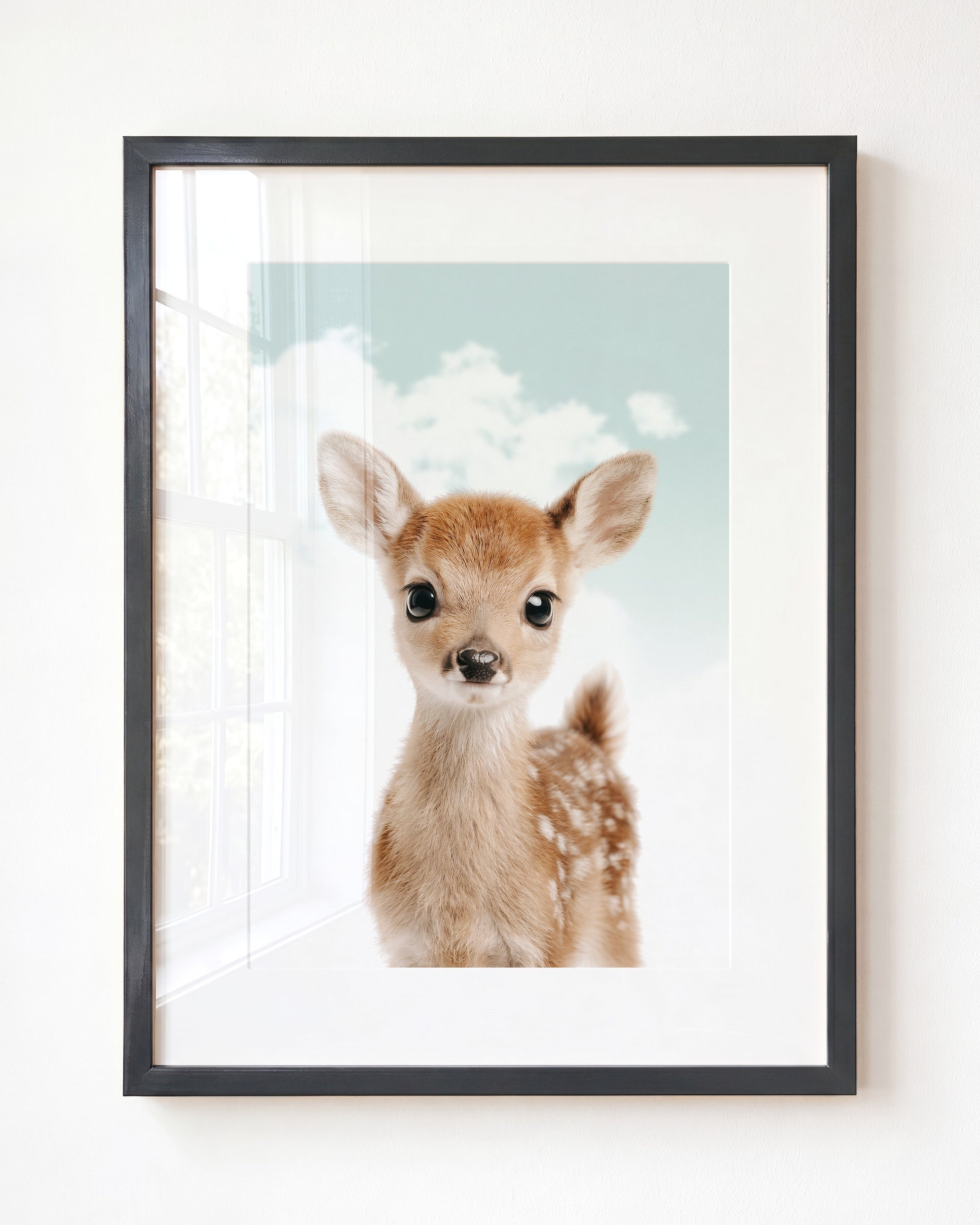Baby Deer