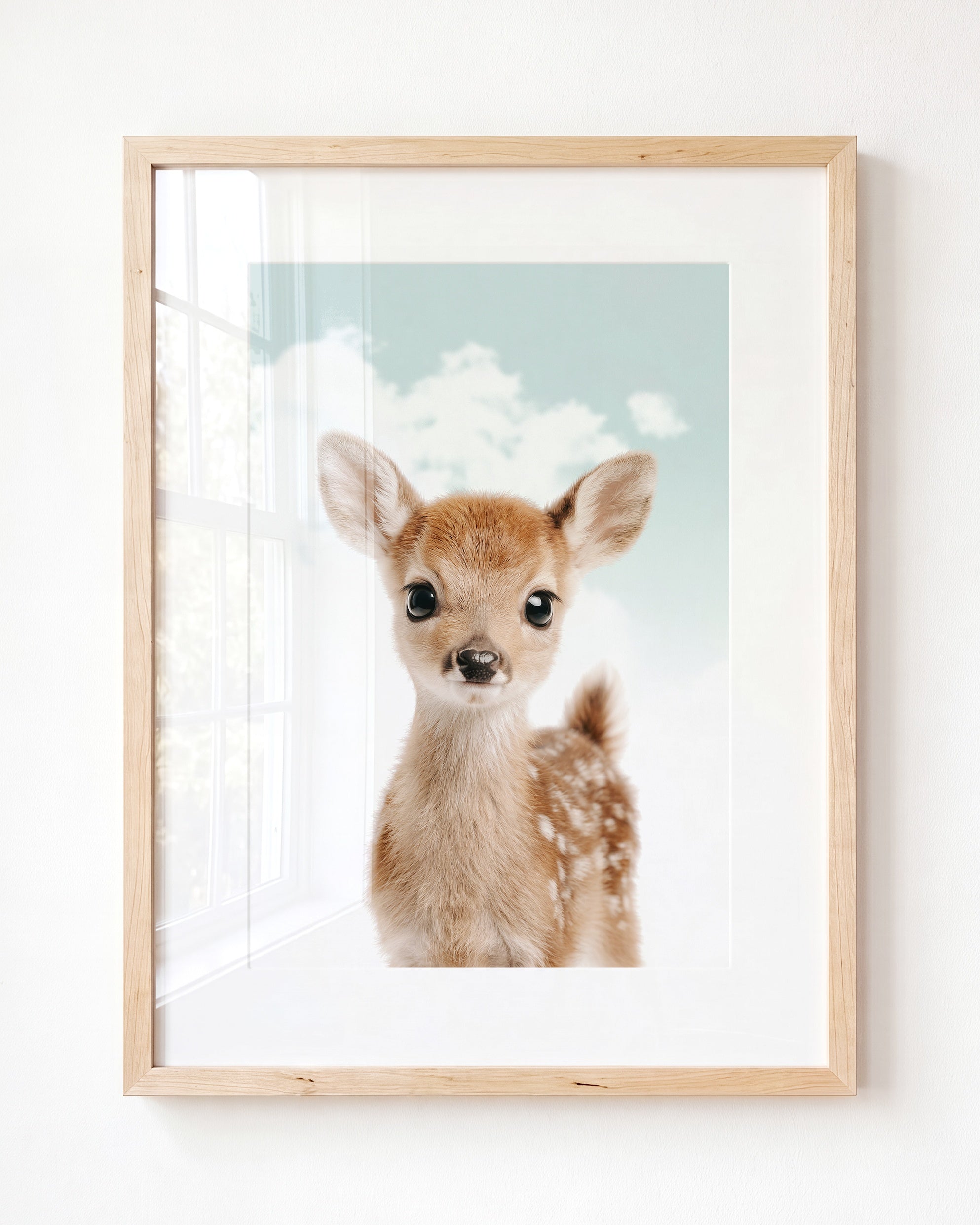 Baby Deer