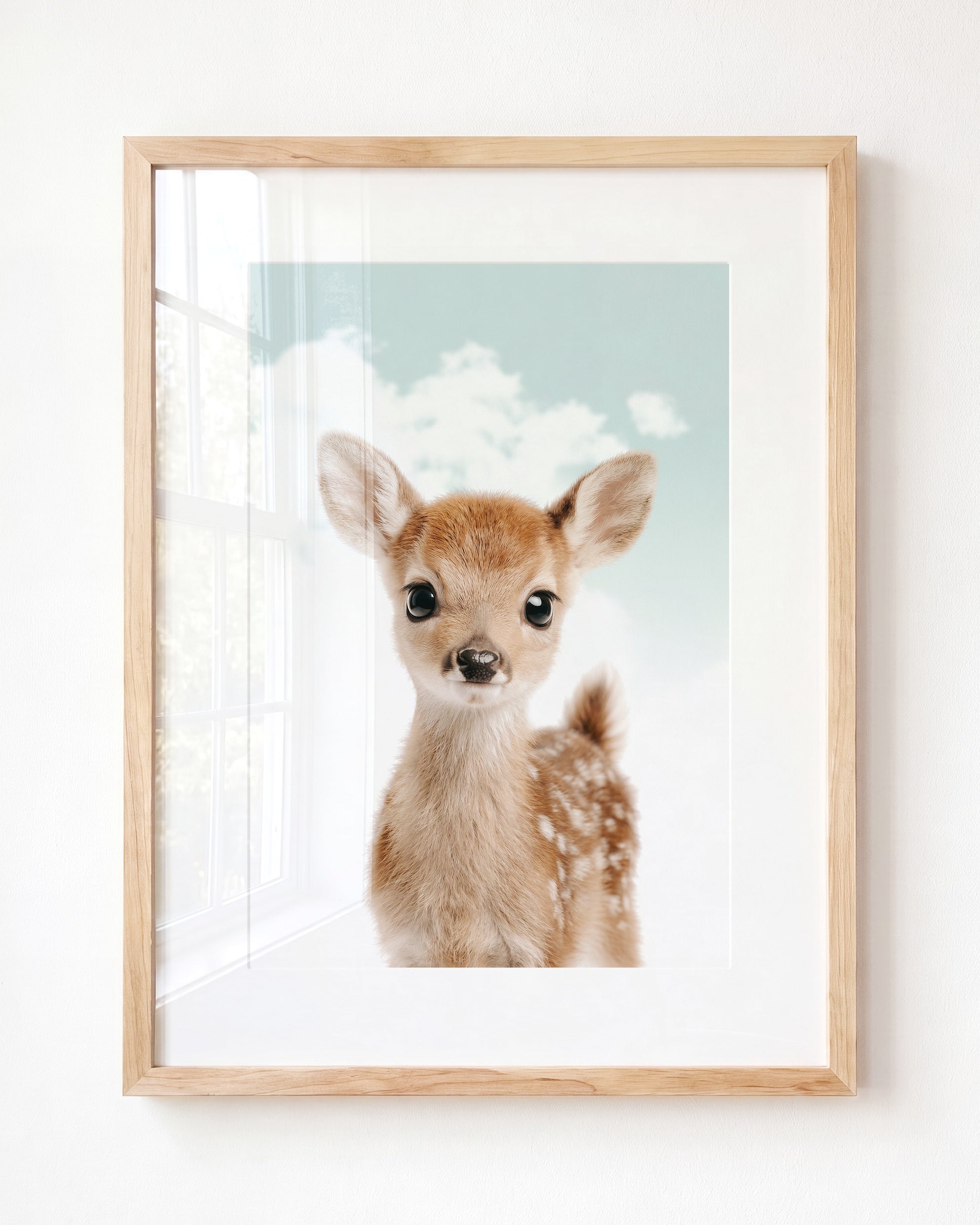 Baby Deer