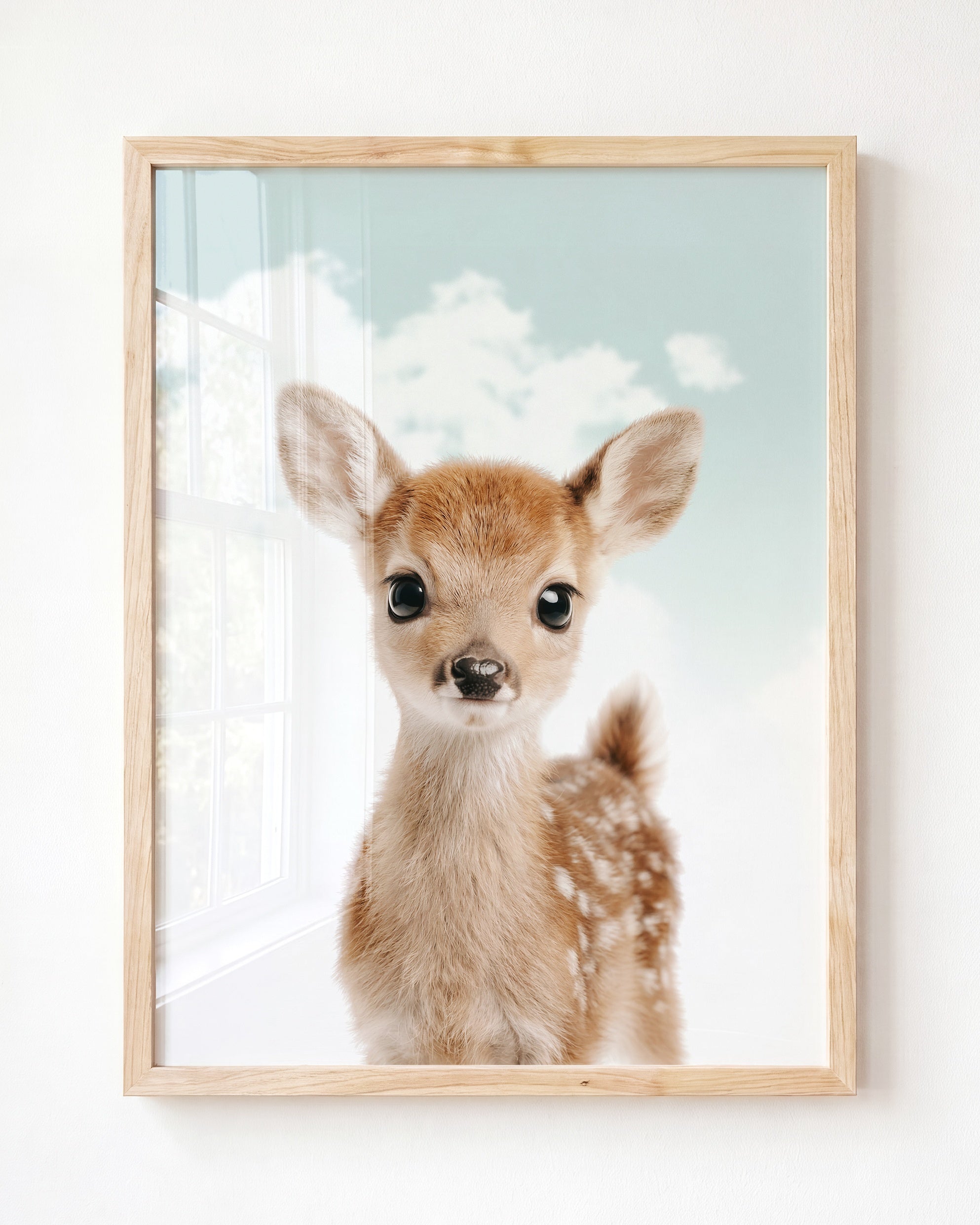 Baby Deer