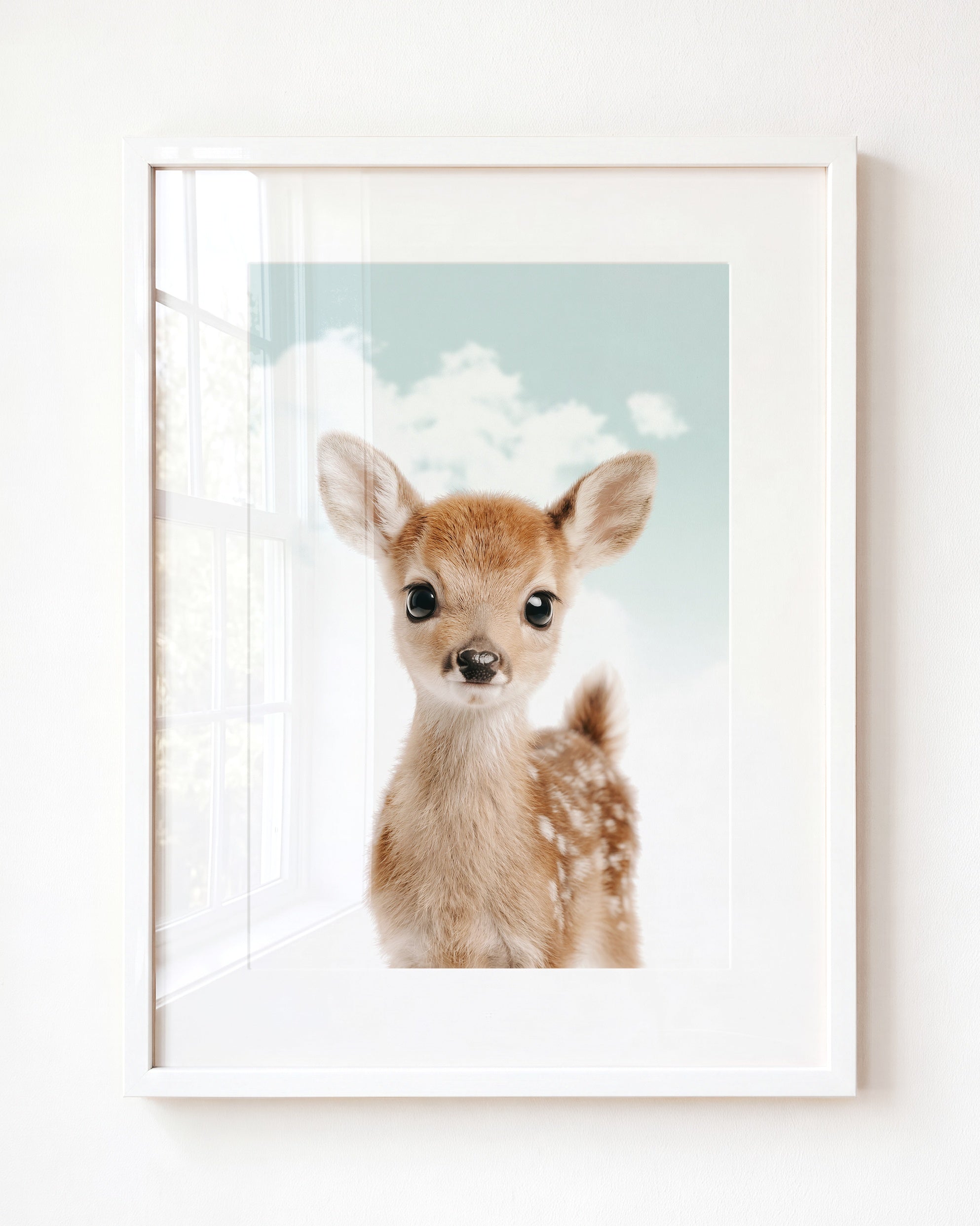 Baby Deer