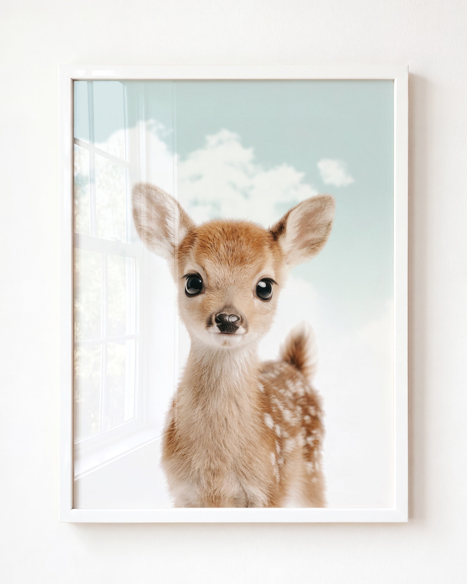 Baby Deer