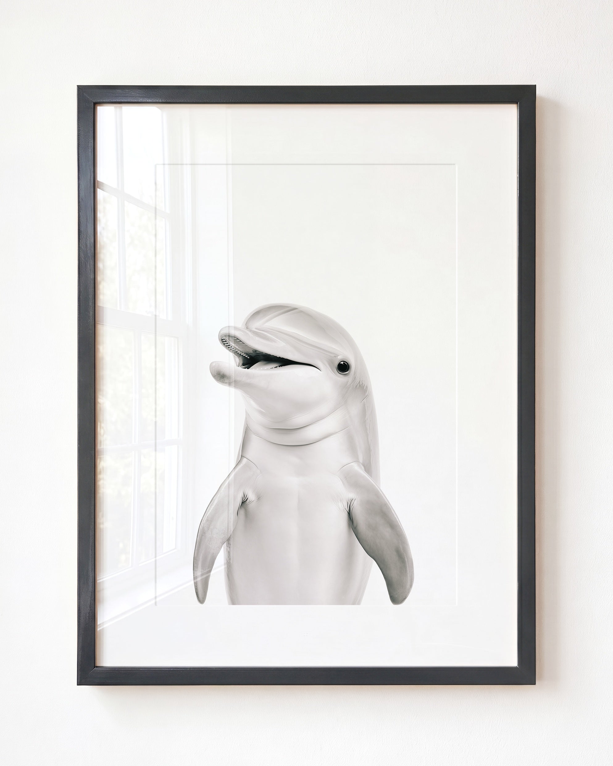 Baby Dolphin
