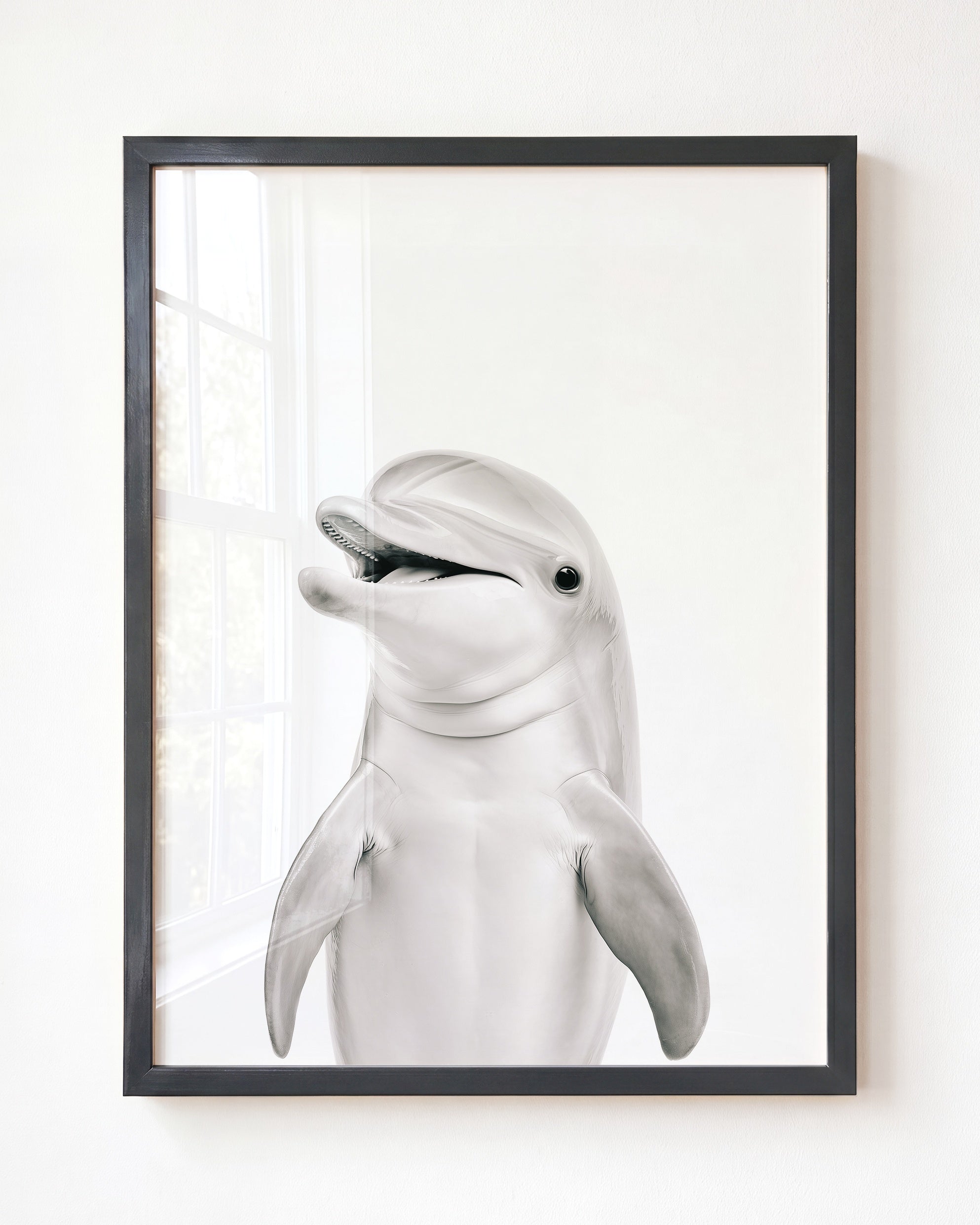 Baby Dolphin