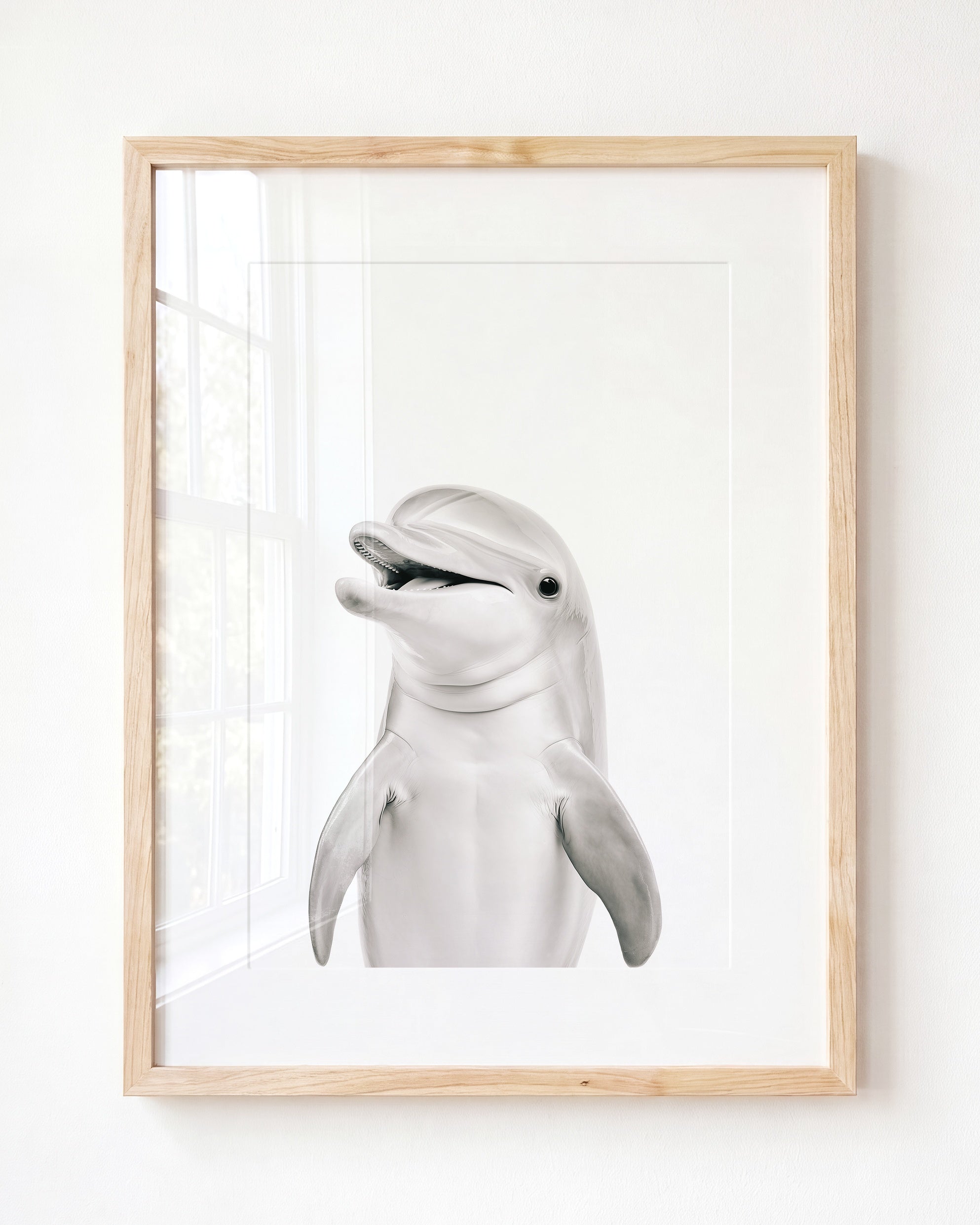 Baby Dolphin