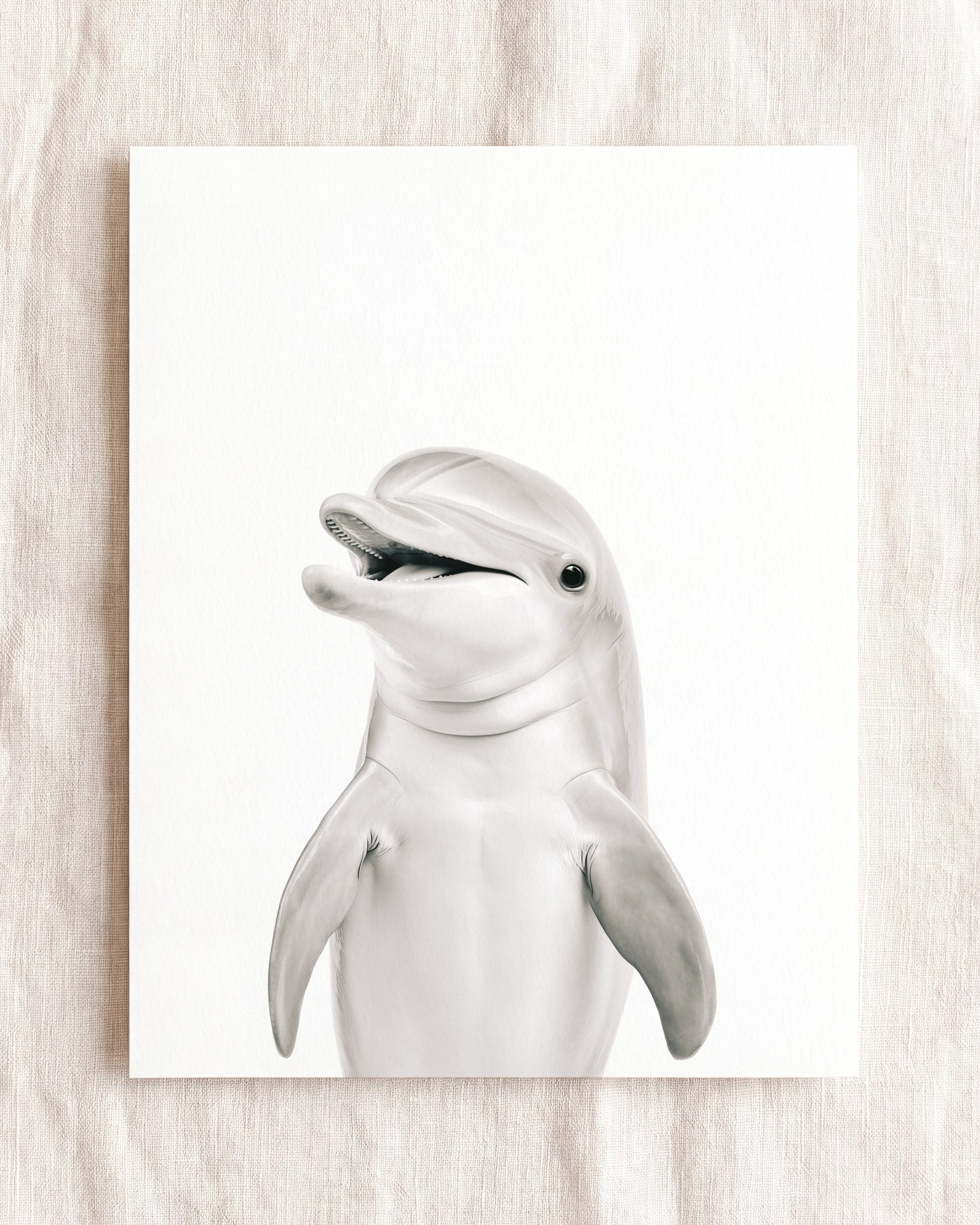 Baby Dolphin