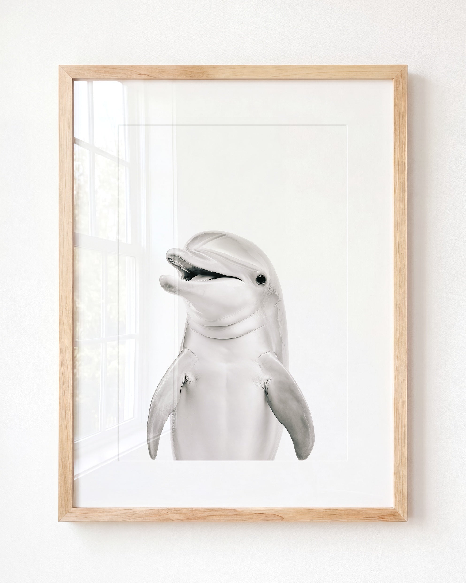 Baby Dolphin