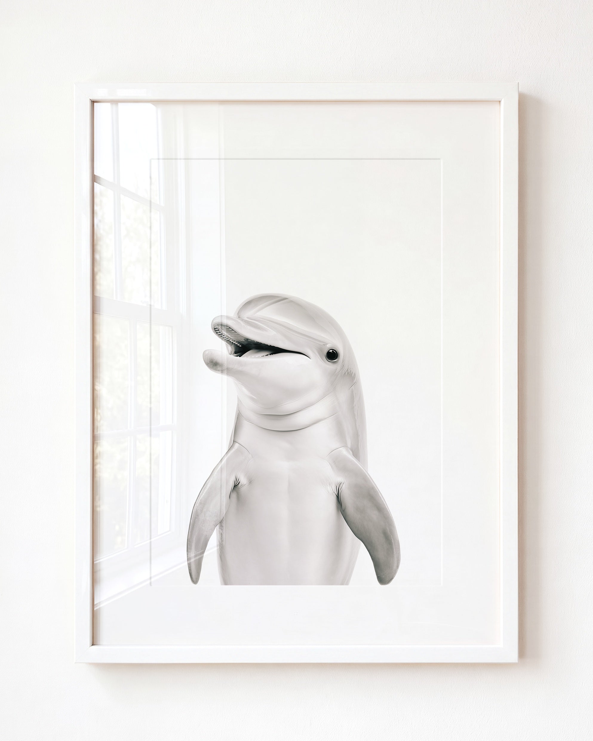 Baby Dolphin