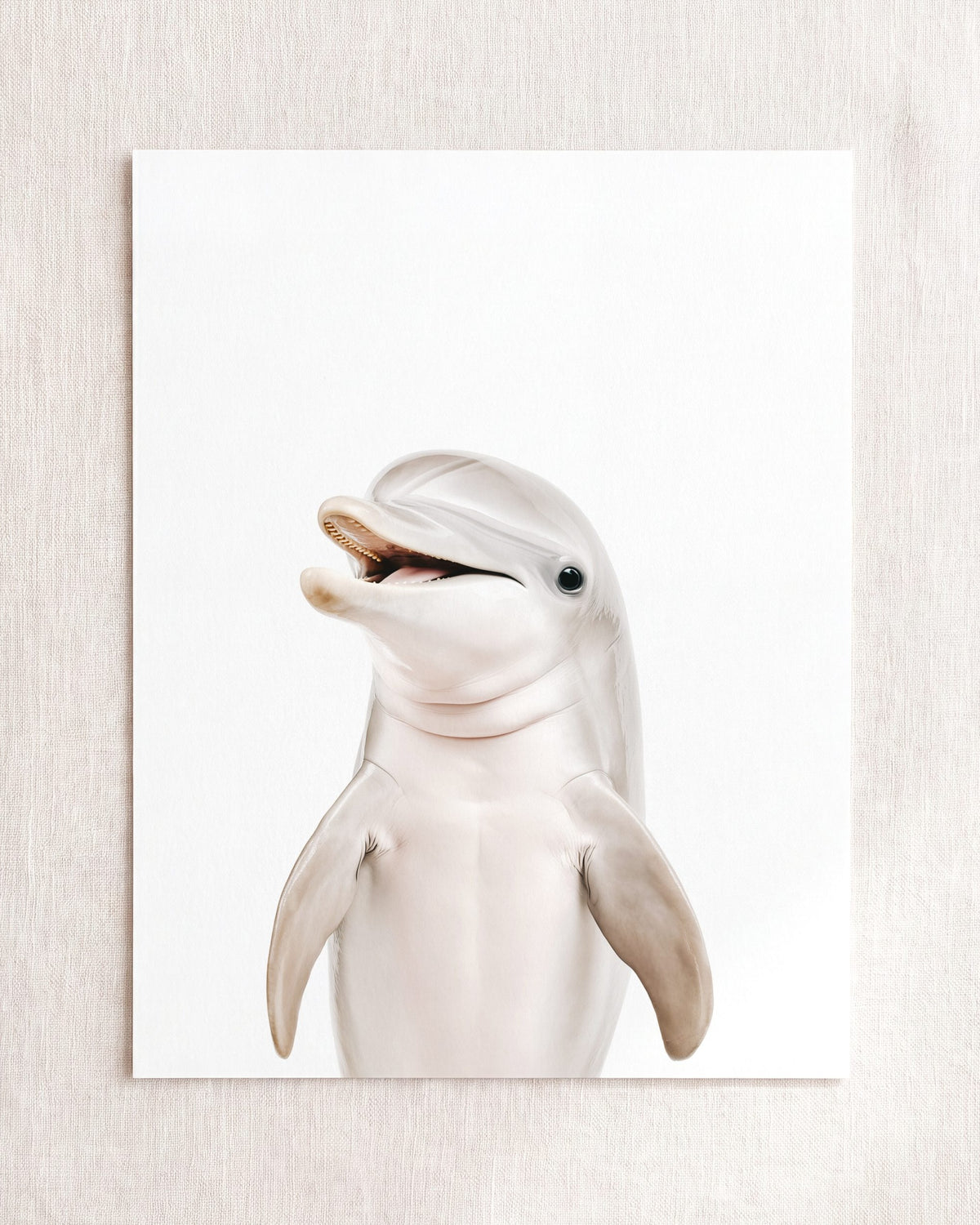 Baby Dolphin