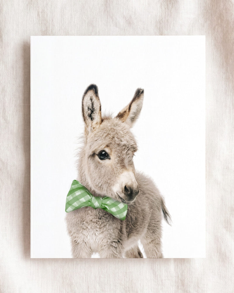 Bow Tie