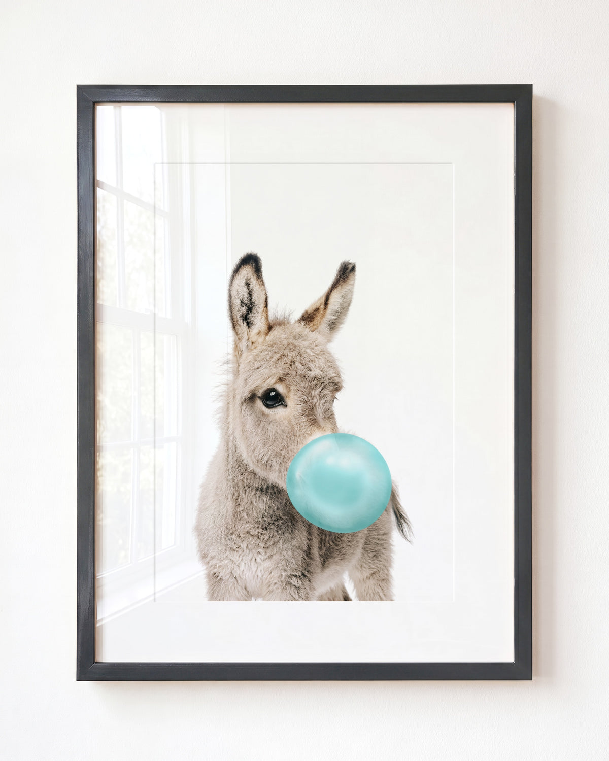 Baby Donkey
