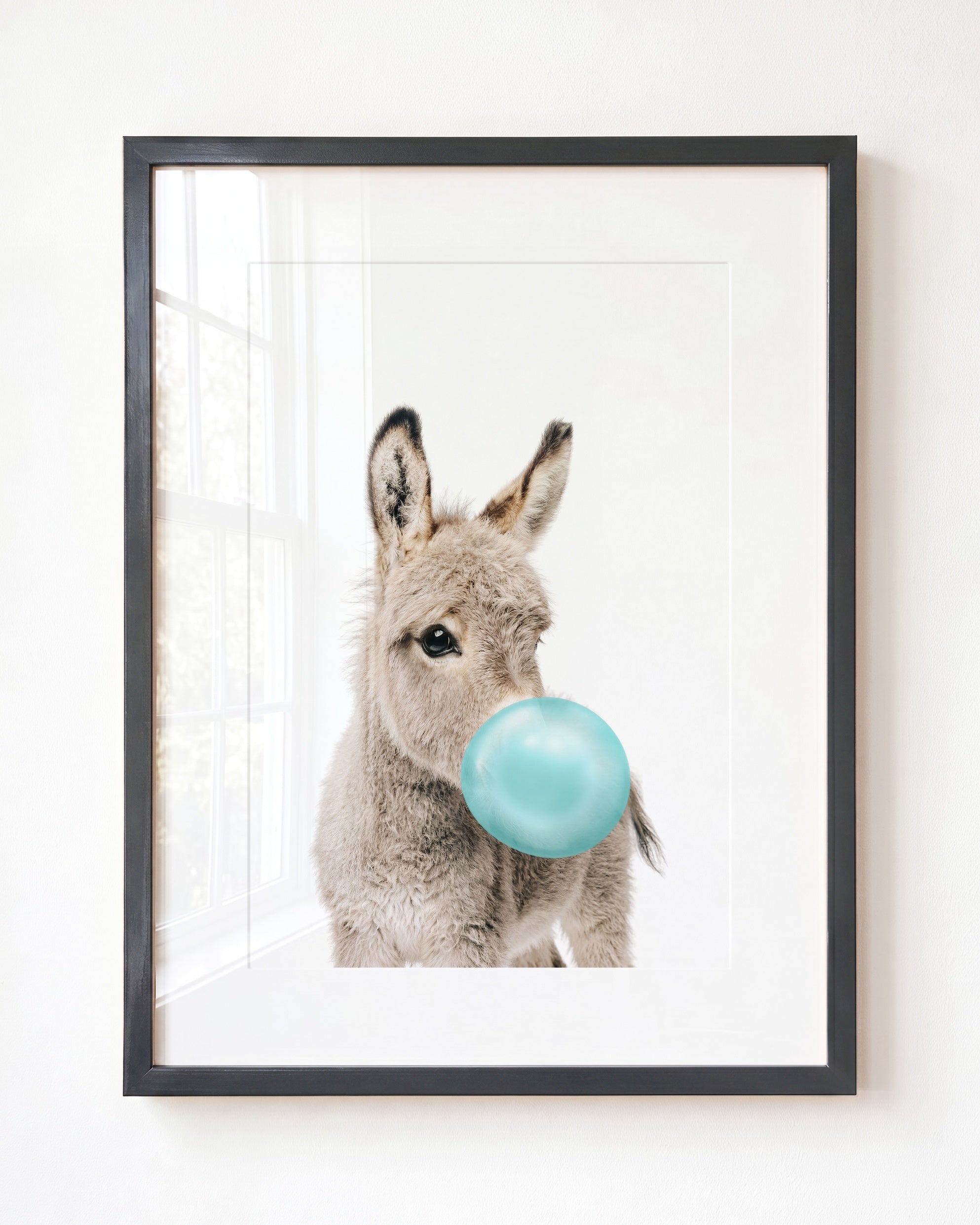 Baby Donkey