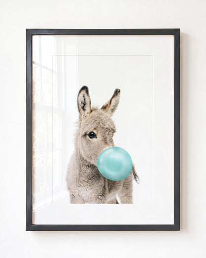 Baby Donkey