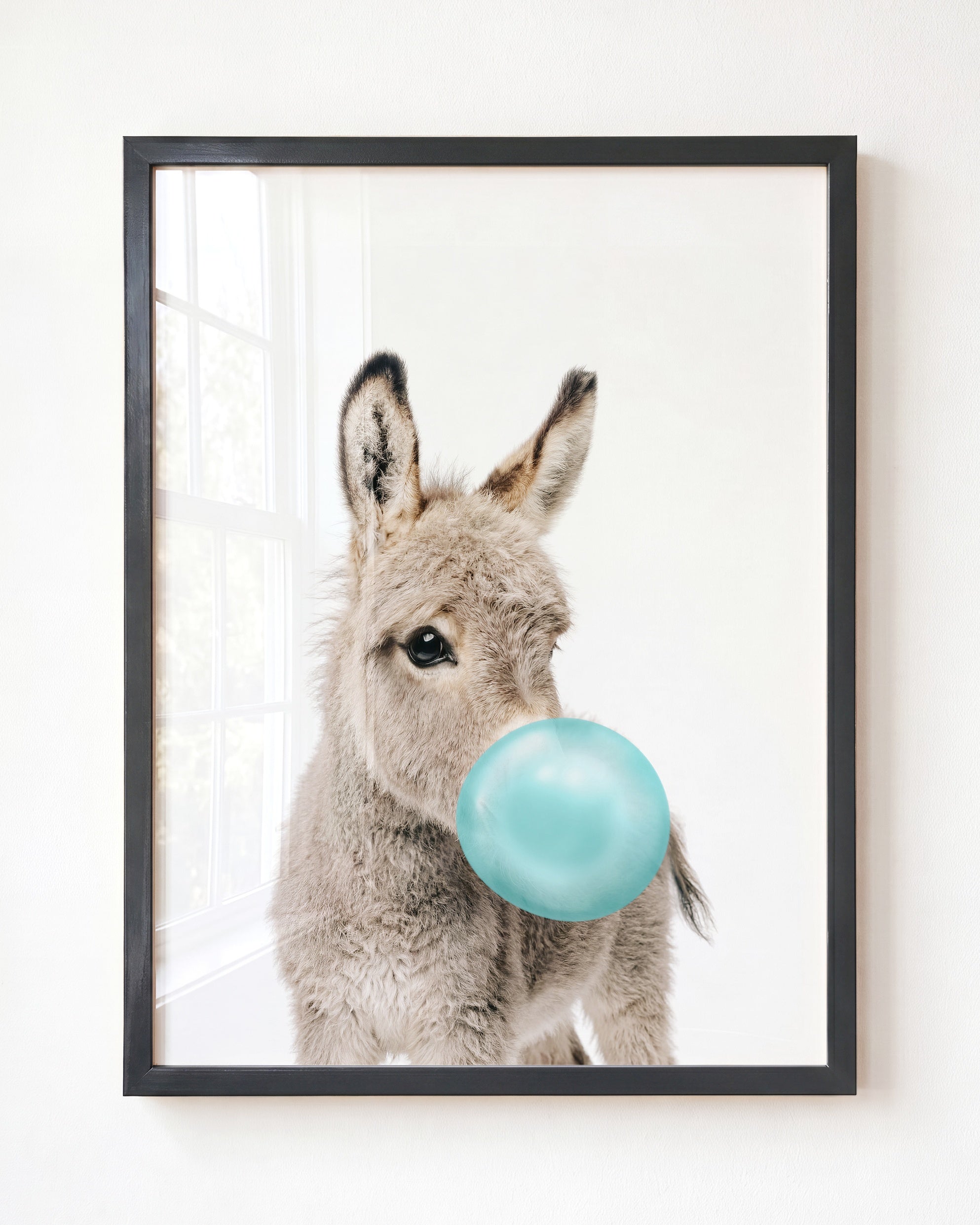Baby Donkey