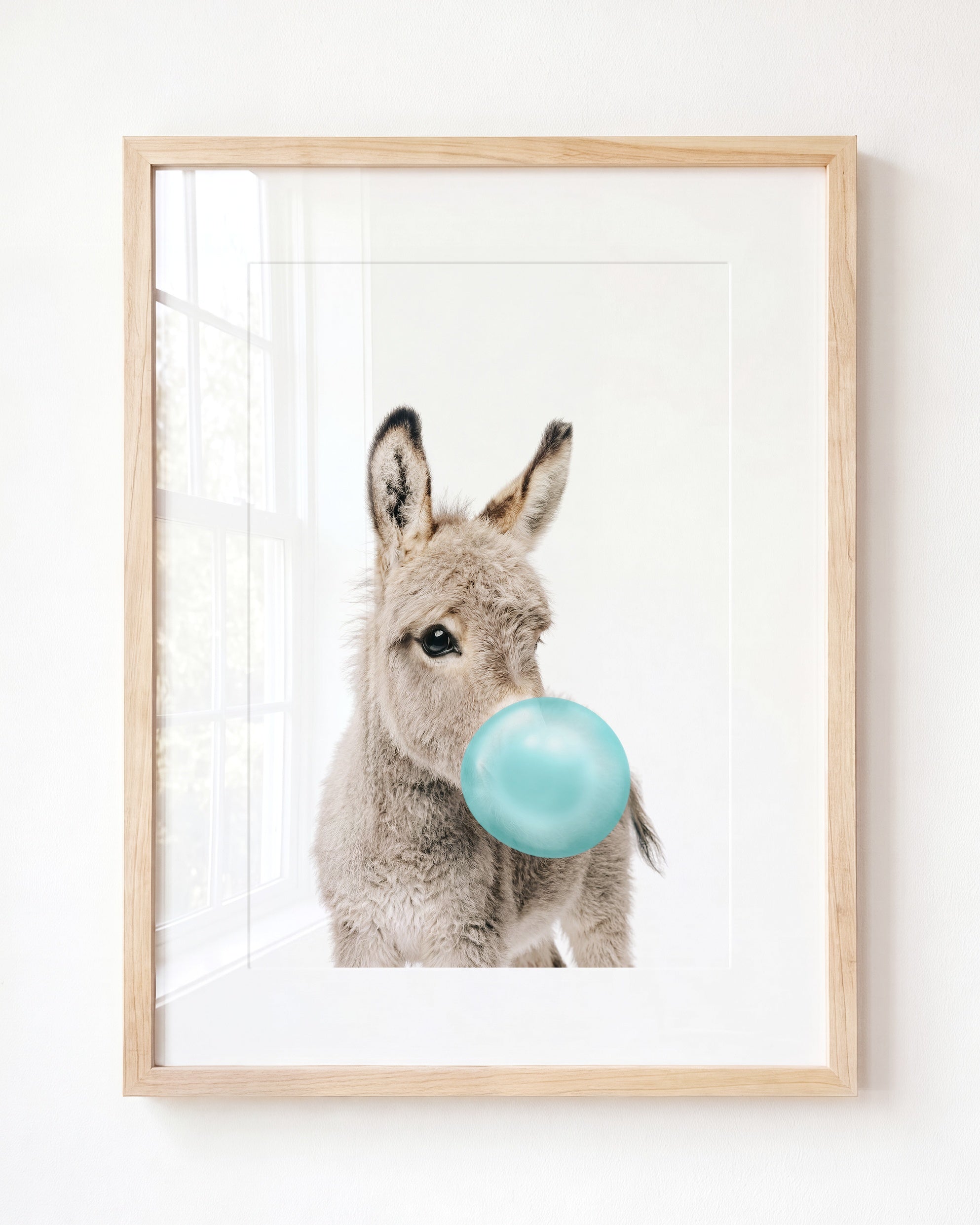 Baby Donkey
