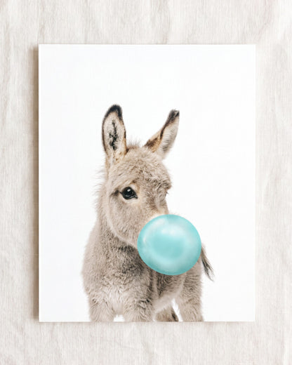 Baby Donkey