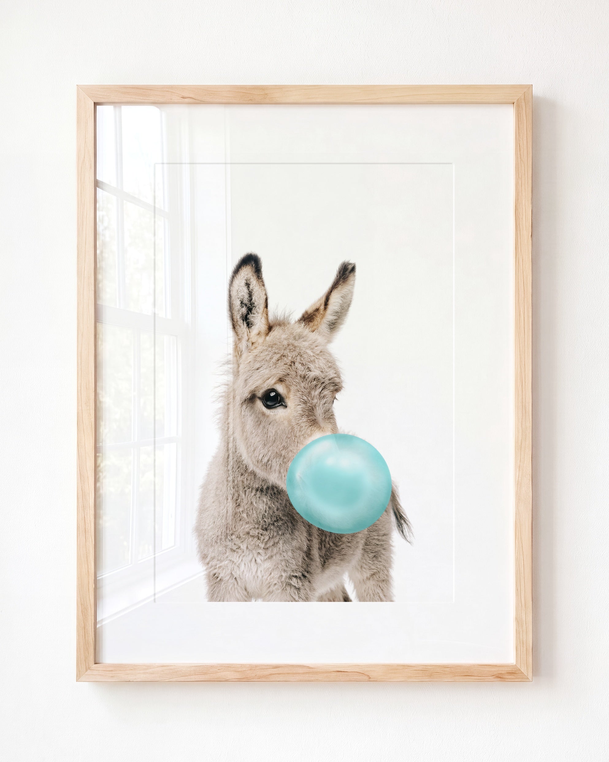 Baby Donkey