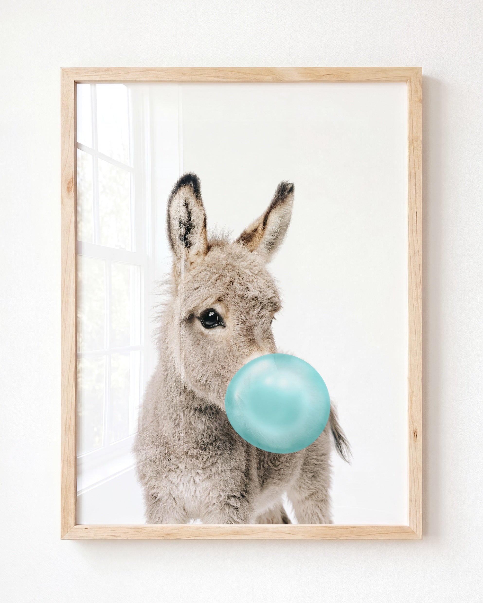 Baby Donkey