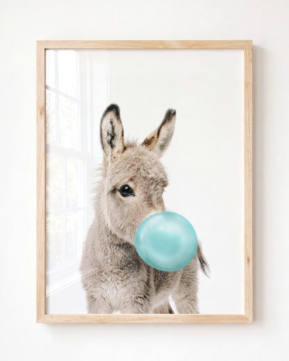 Baby Donkey