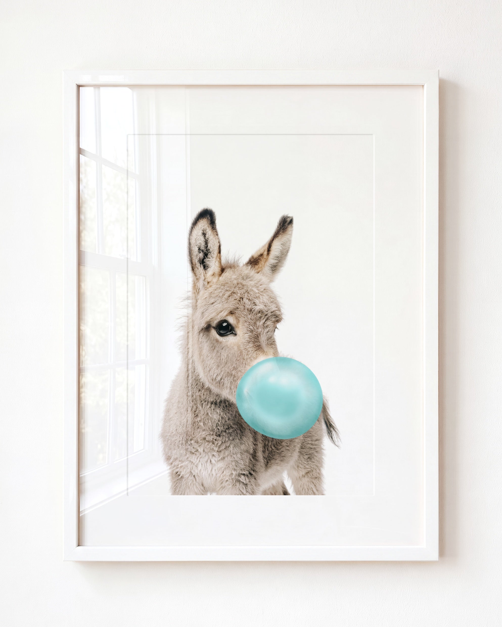 Baby Donkey
