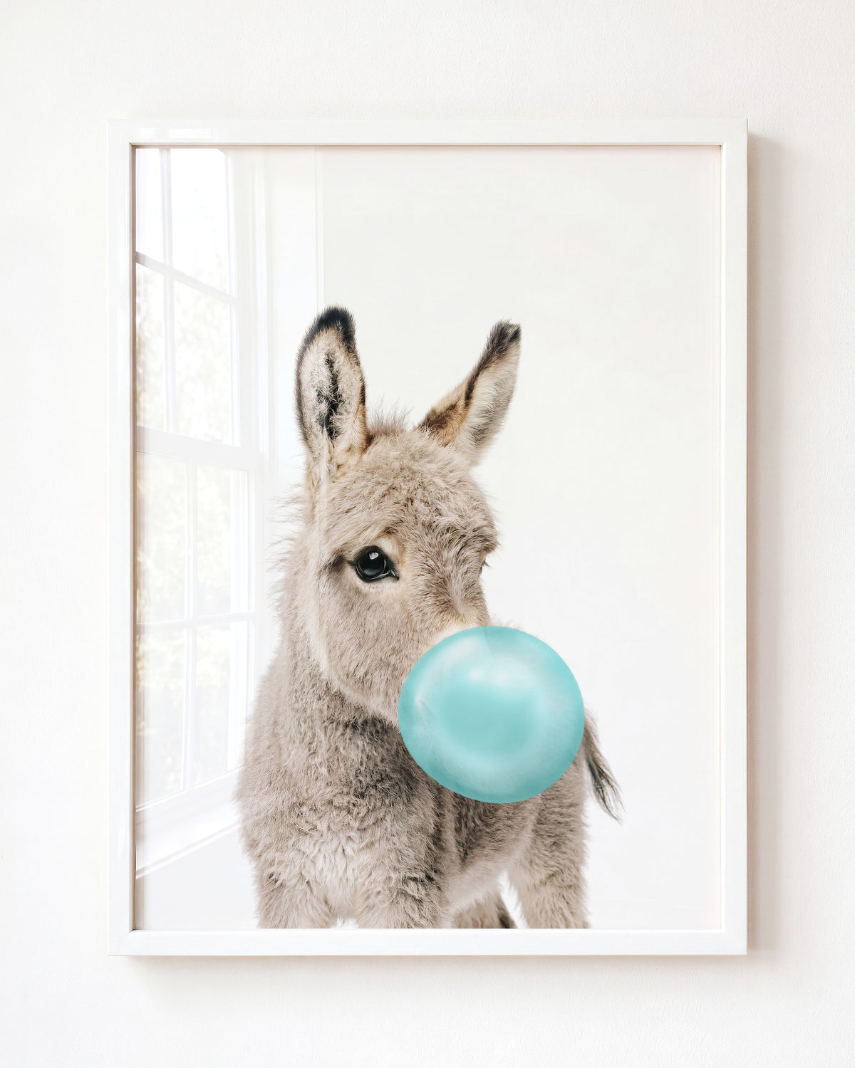 Baby Donkey