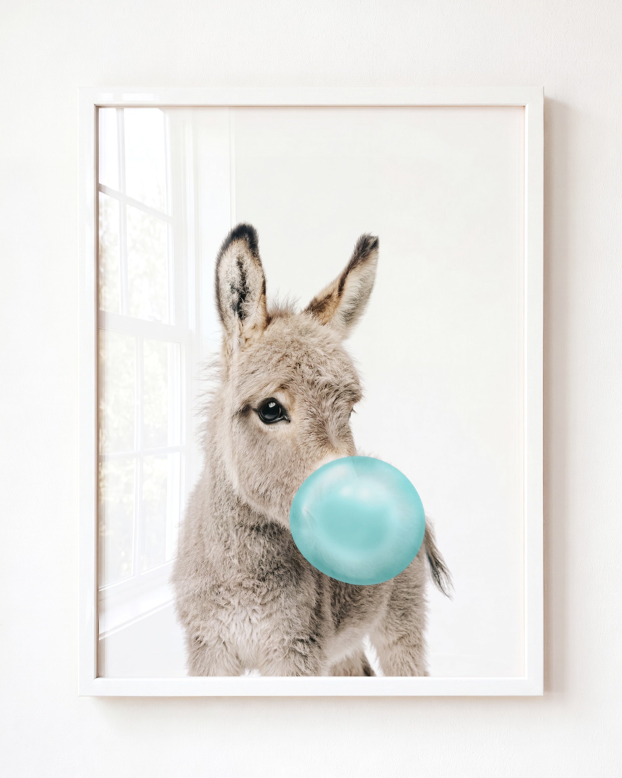 Baby Donkey